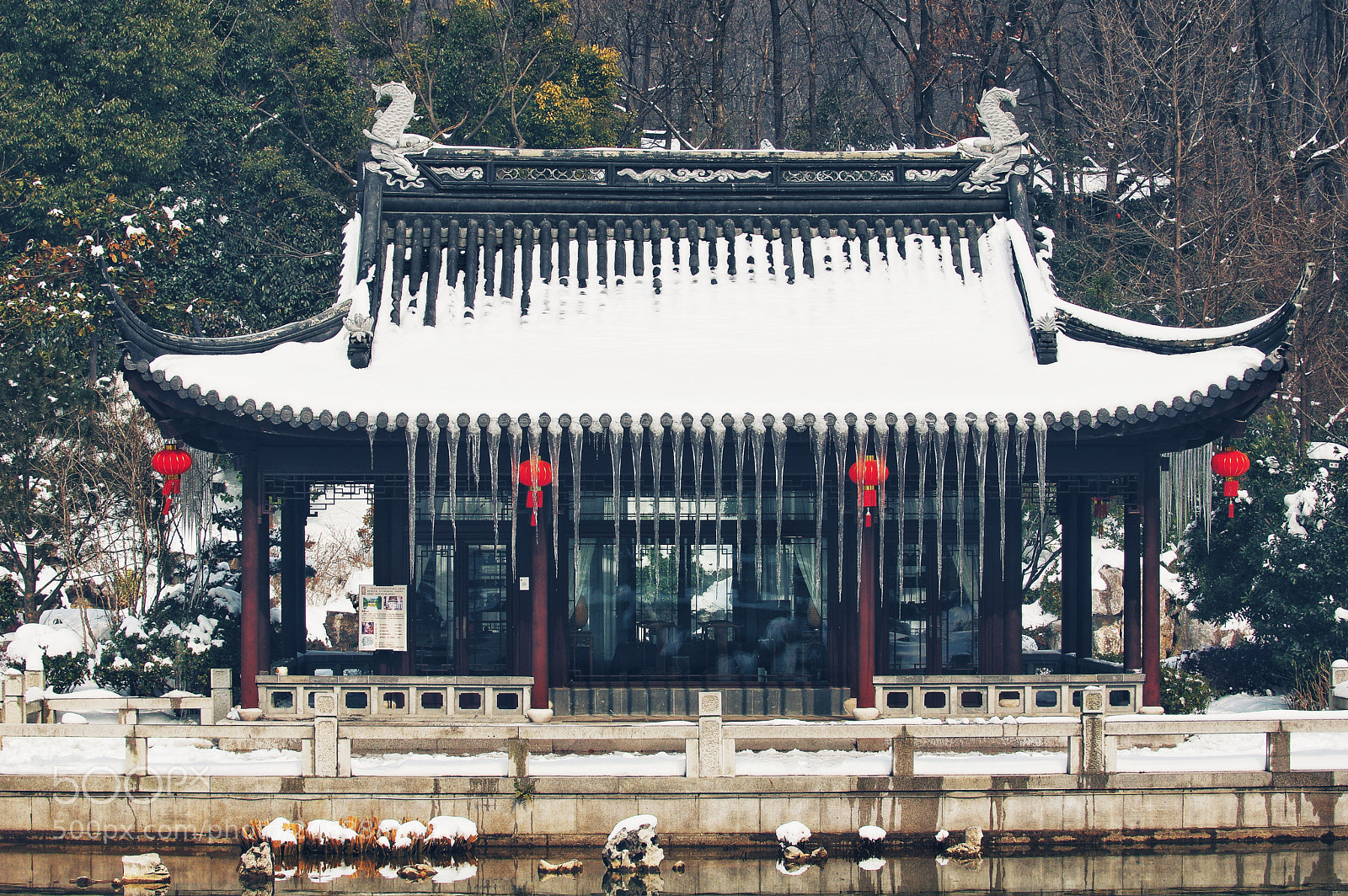 Pentax K-3 II sample photo. Untitled photography