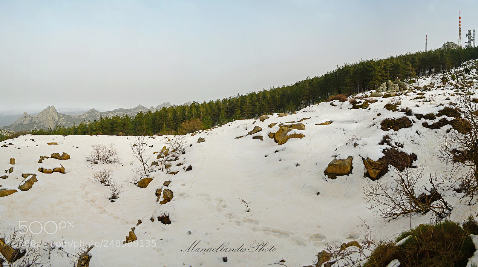 Nikon D5100 sample photo. Downhill photography