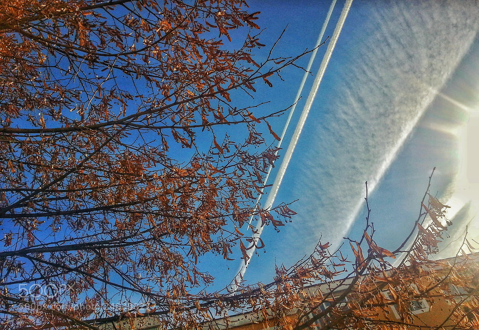 Samsung Galaxy S3 sample photo. Untitled photography