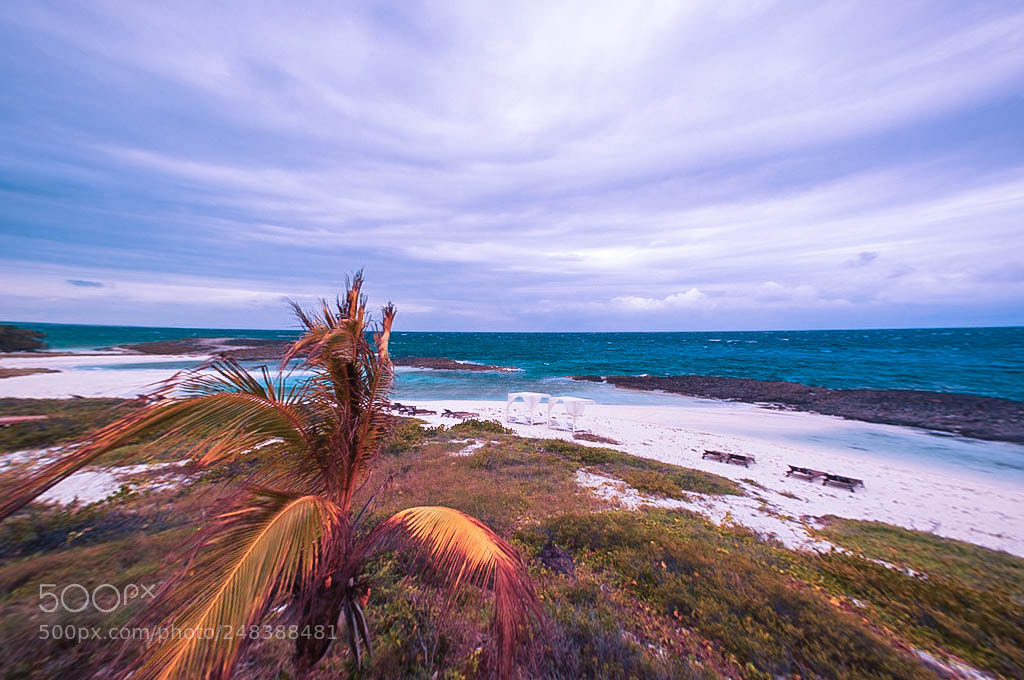 Nikon D90 sample photo. Caribbean wind photography