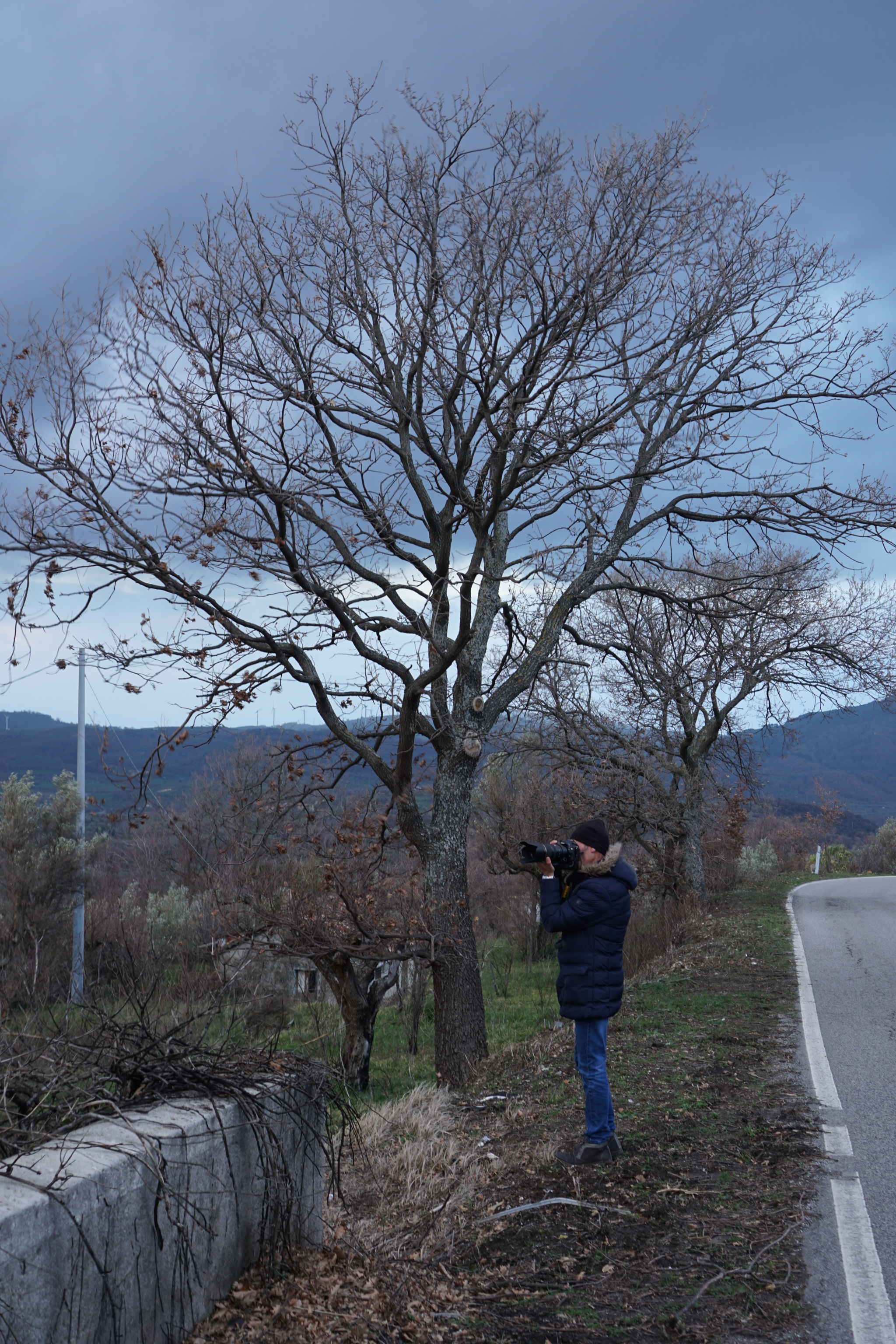 Sony a6000 + Sony E 35mm F1.8 OSS sample photo. Visuali photography