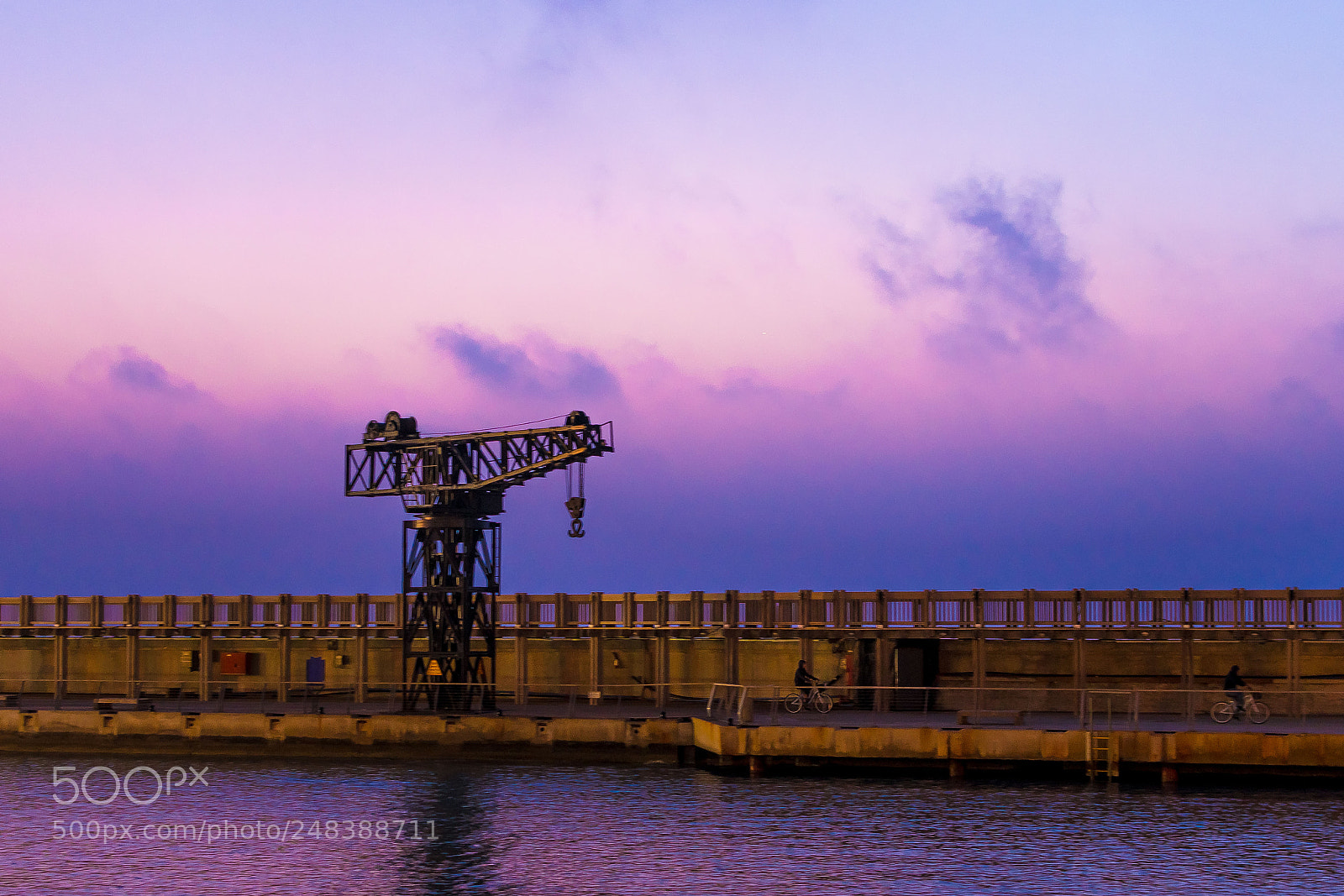 Nikon D5600 sample photo. Purple sunet photography