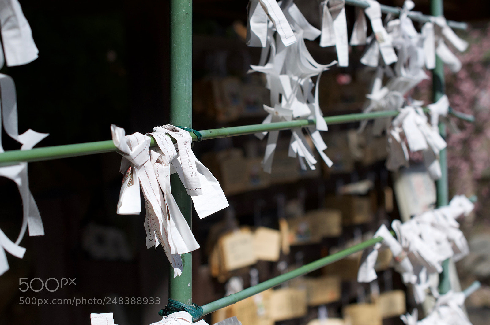 Nikon D90 sample photo. An oracle photography