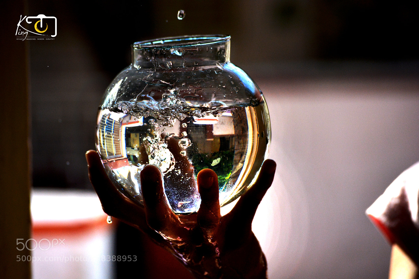 Nikon D5200 sample photo. Water bowl photography