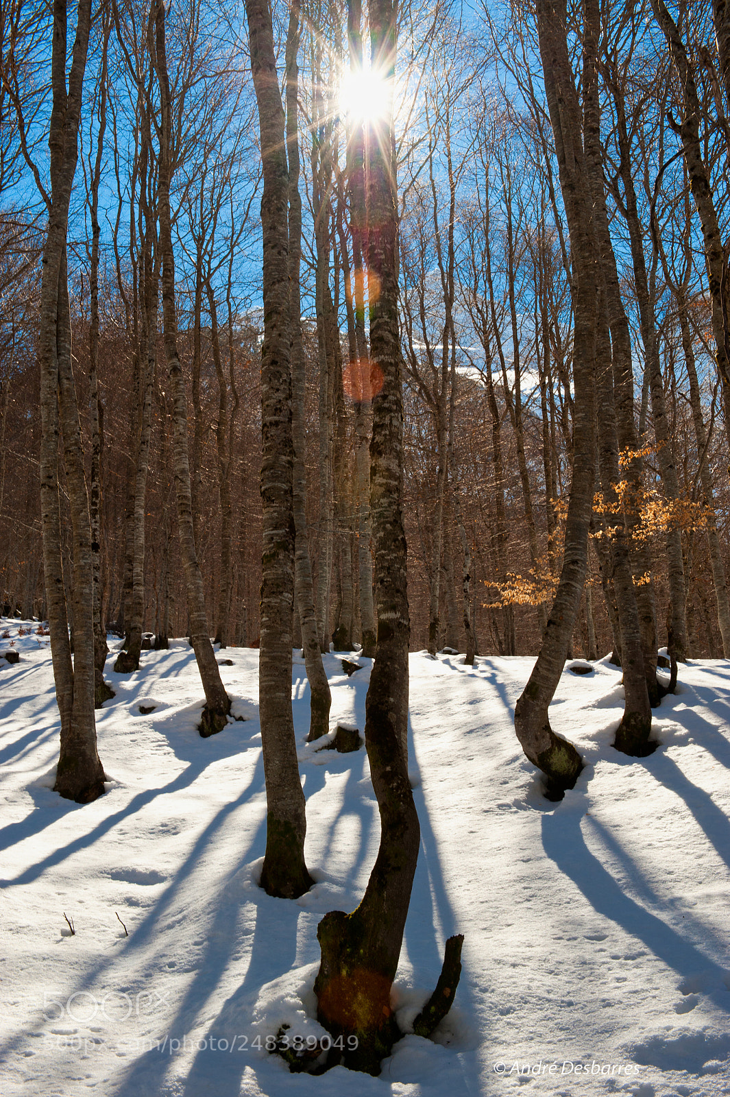 Nikon D3 sample photo. Gavarnie - france photography