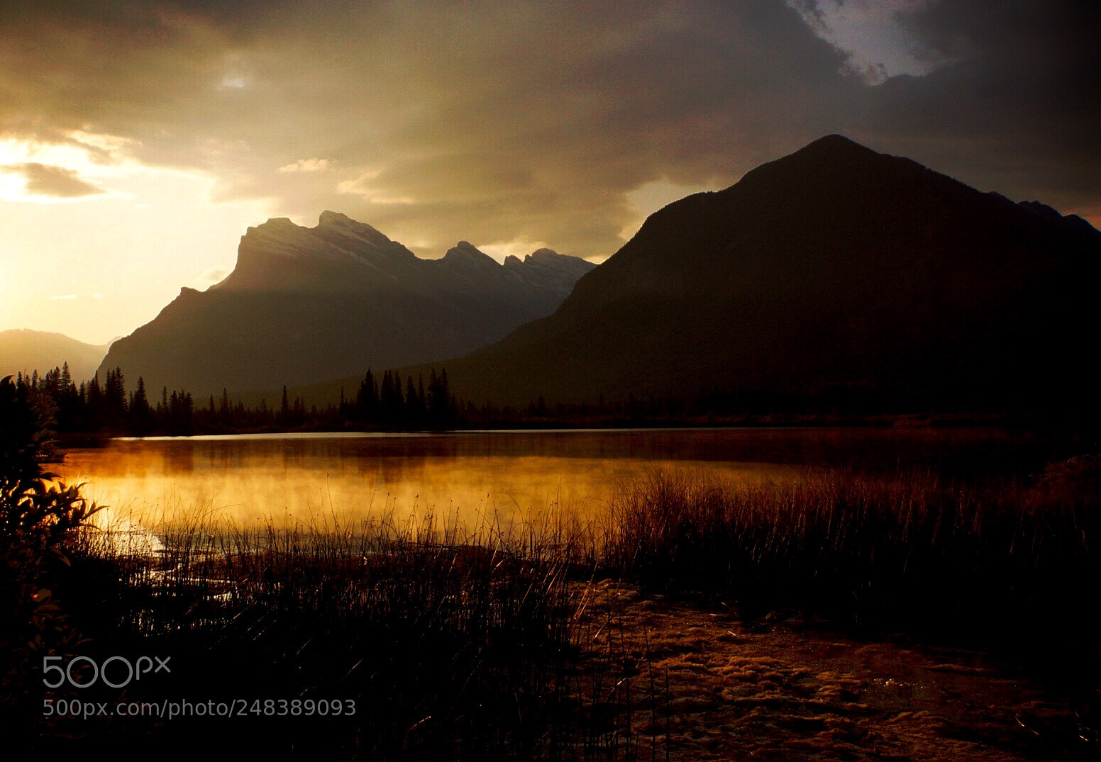 Sony Alpha NEX-7 sample photo. Morning glow photography