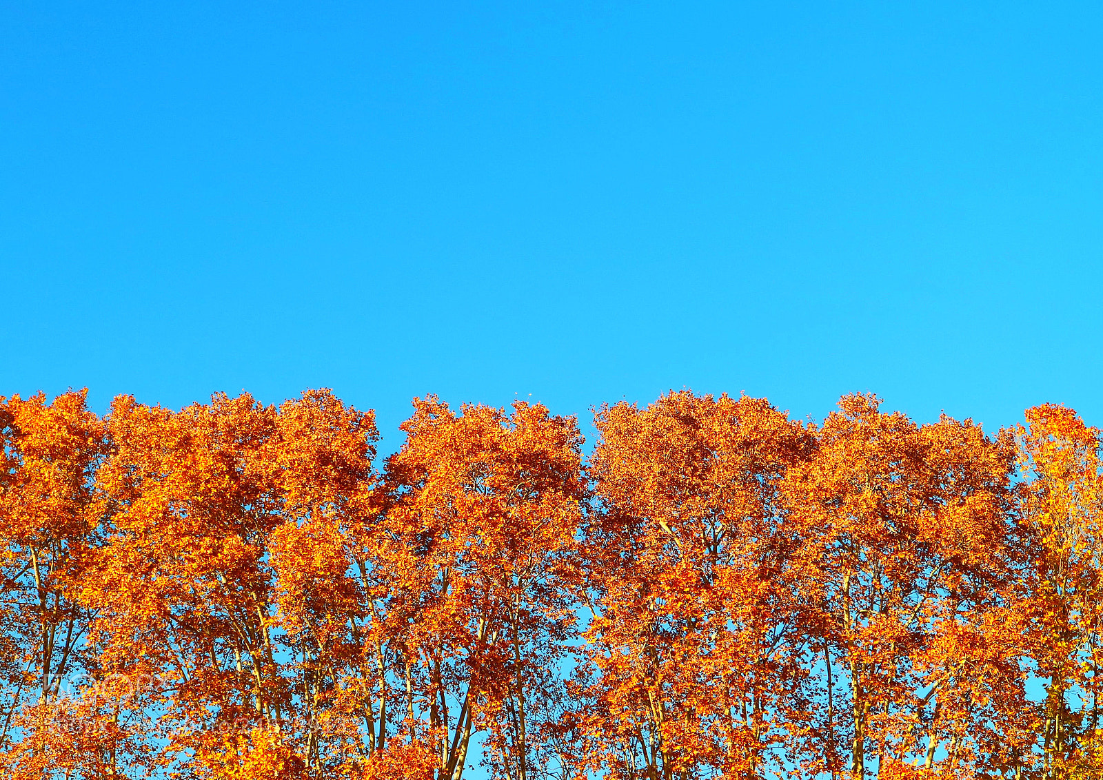 Canon EOS M3 sample photo. Untitled photography