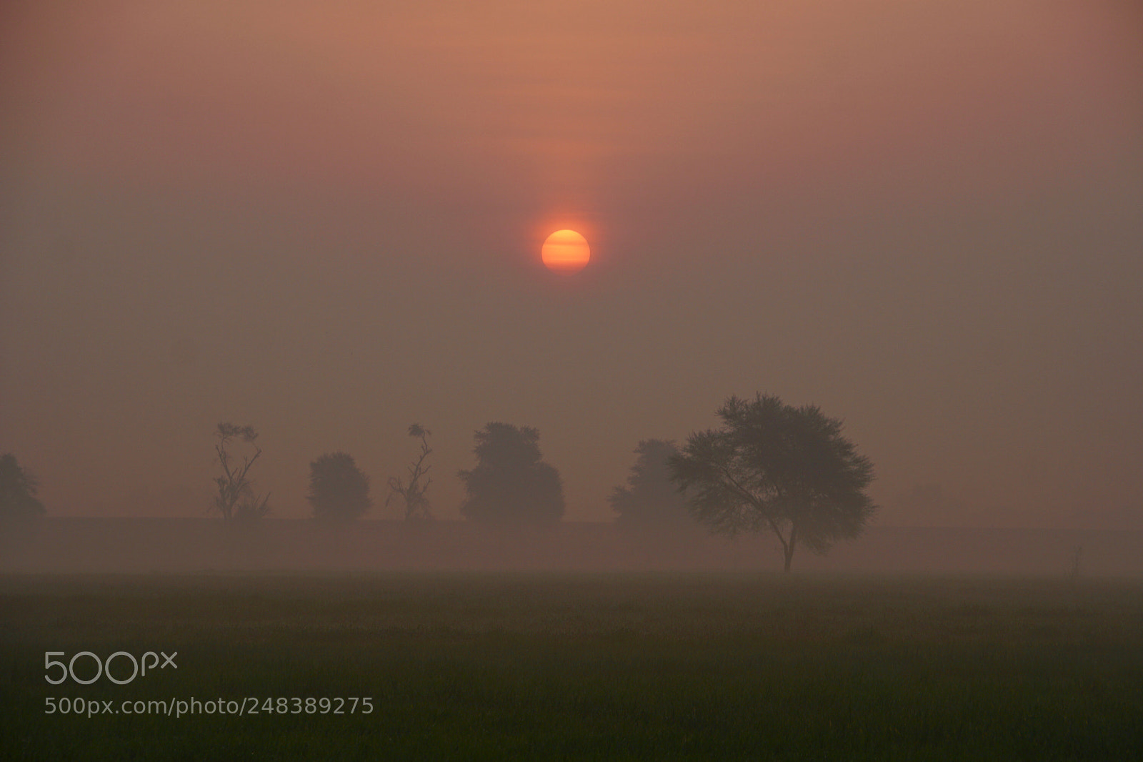 Sony a6300 sample photo. Sunrise photography