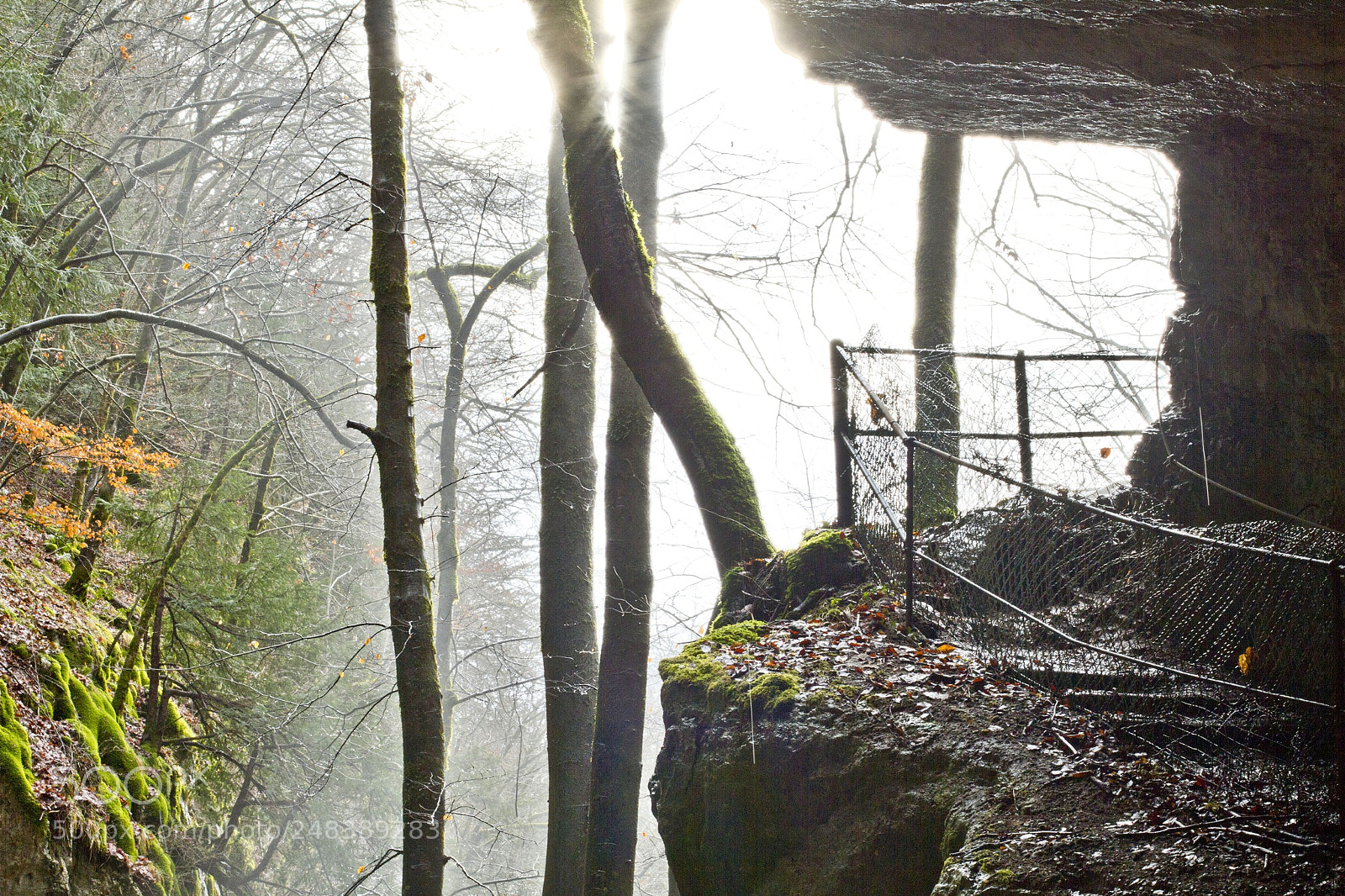 Canon EOS 7D sample photo. « strange » photography