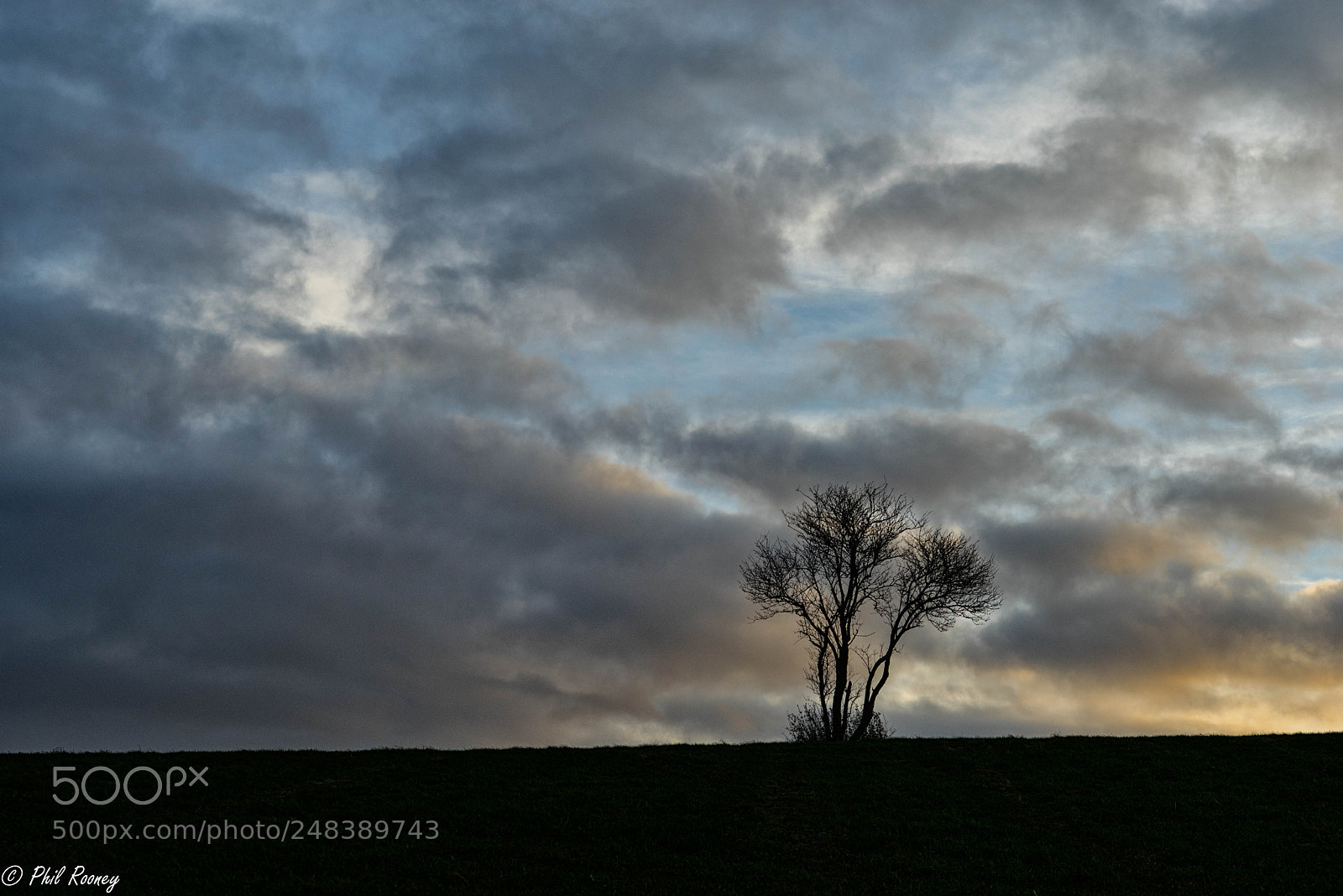 Sony a7R sample photo. I stand alone photography