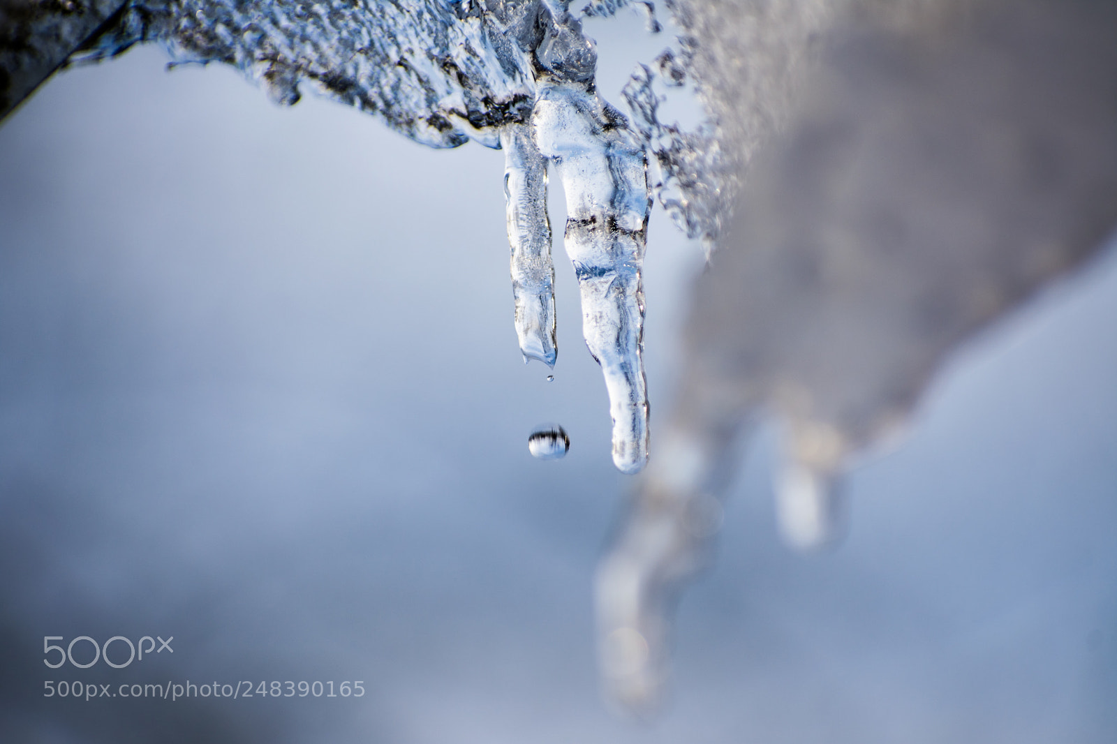 Nikon D3400 sample photo. Melting photography