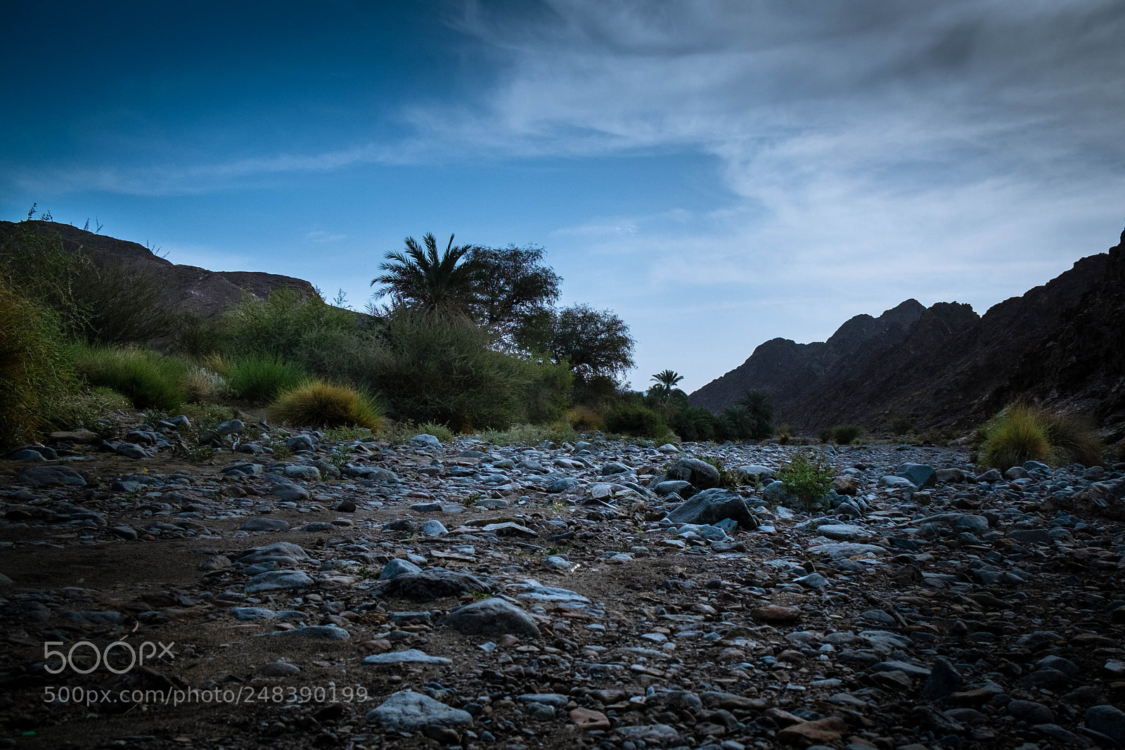 Fujifilm X-E1 sample photo. Valley showkah photography