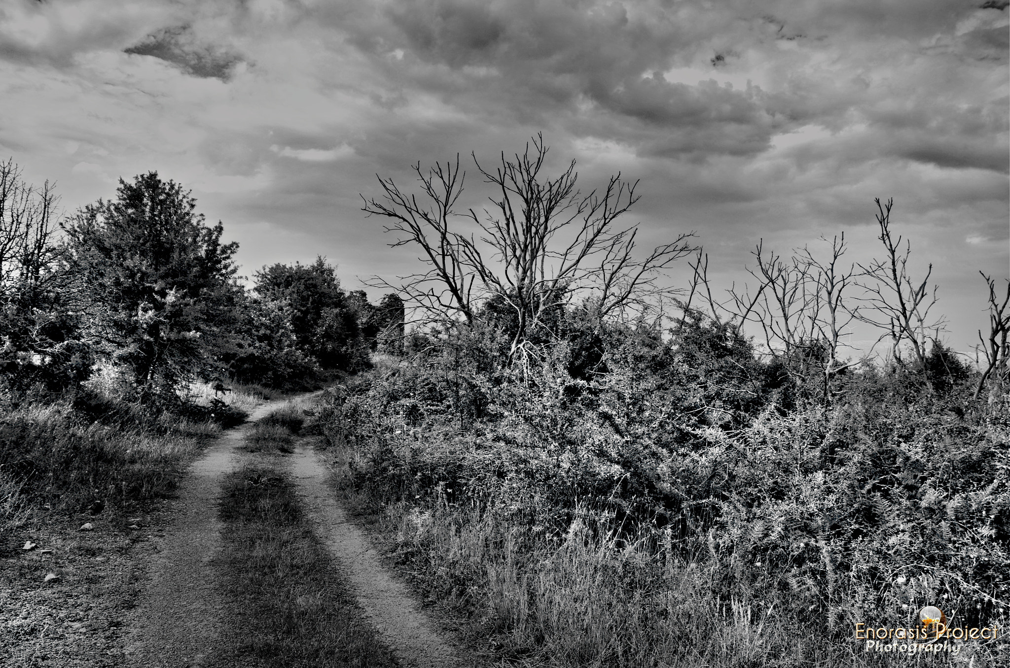 Sigma 17-70mm F2.8-4 DC Macro OS HSM sample photo. Into the road of mystery ! photography