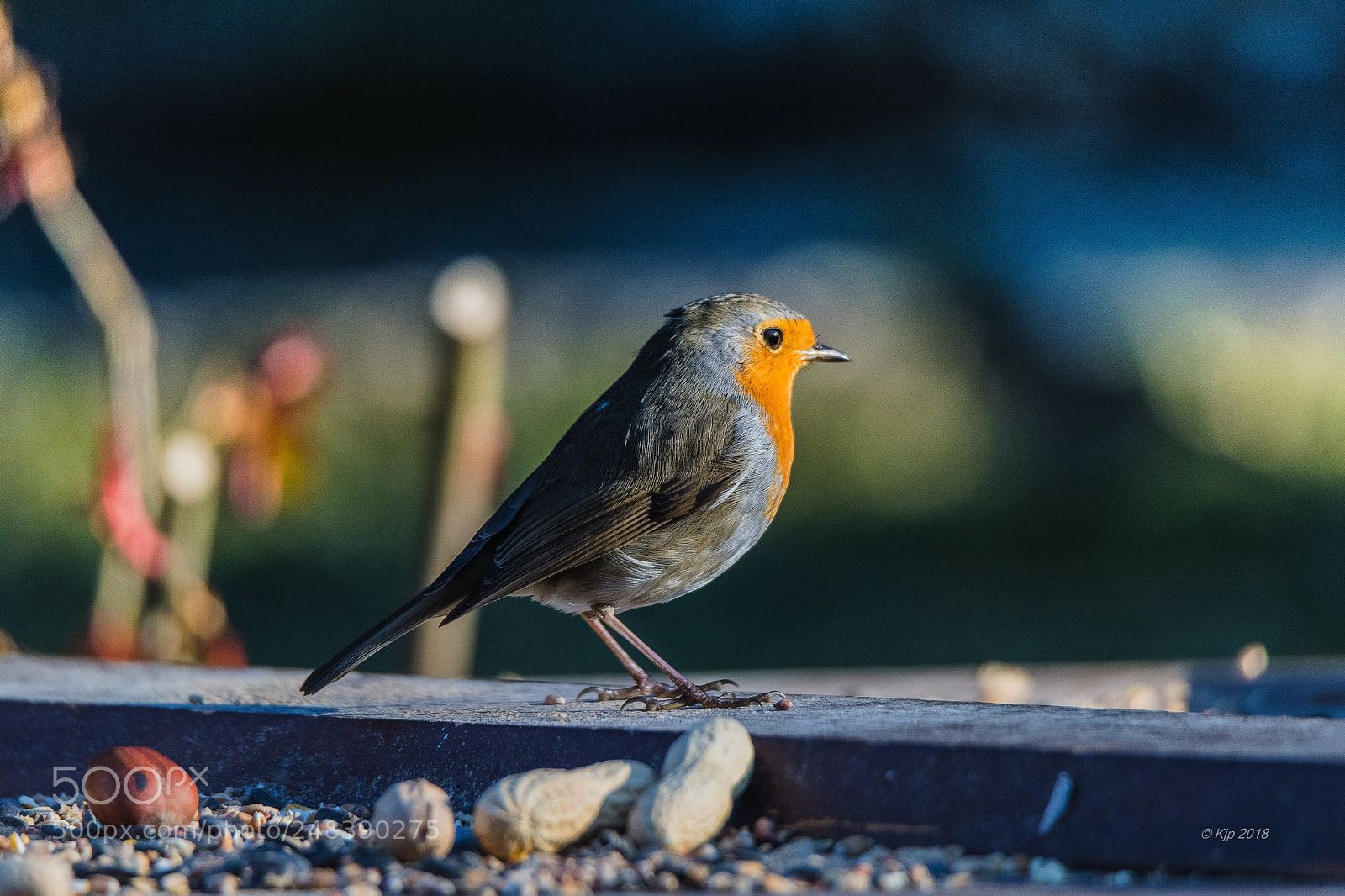 Nikon D850 sample photo. A photography