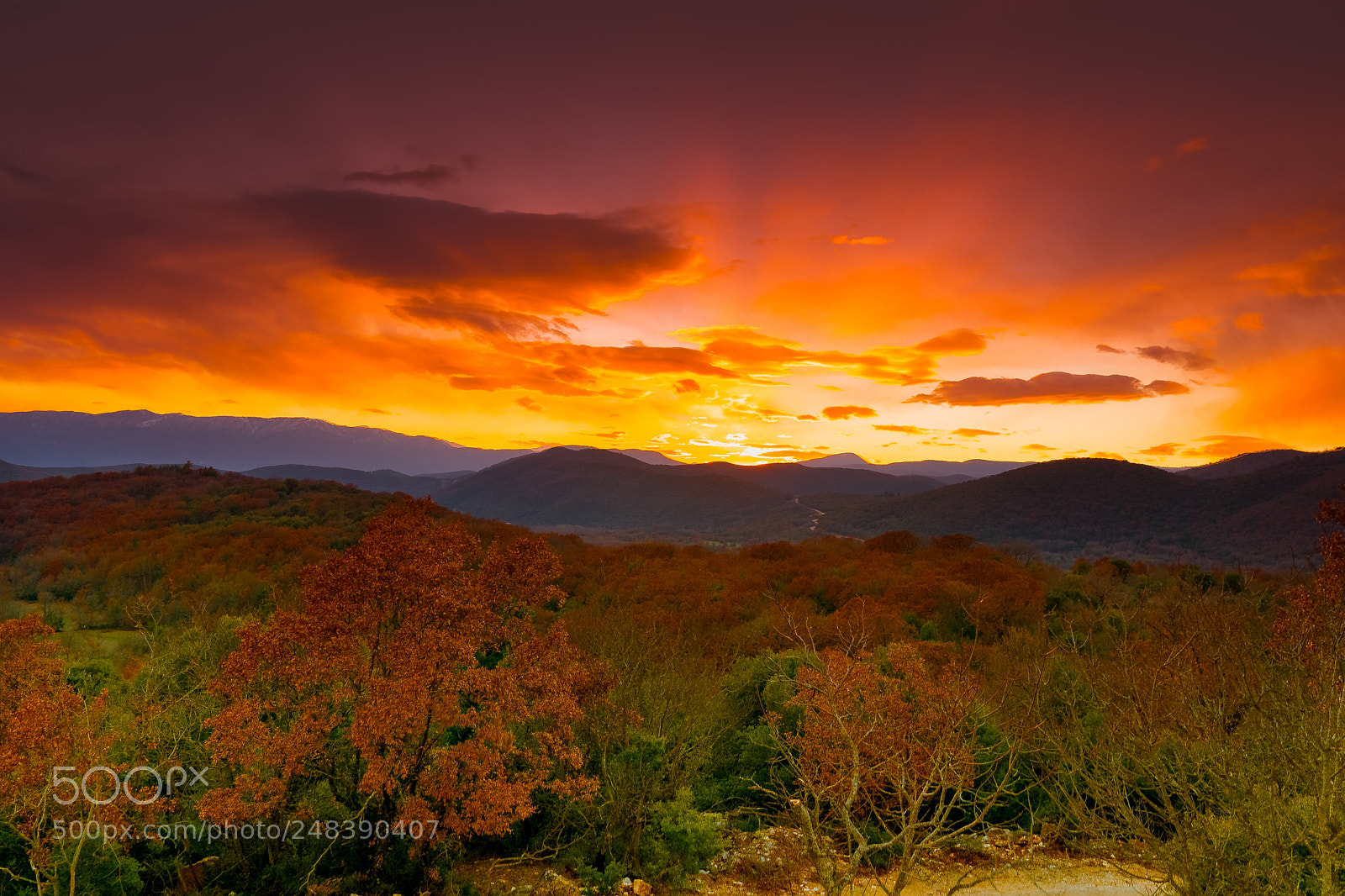 Sony a6300 sample photo. Golden sunset photography