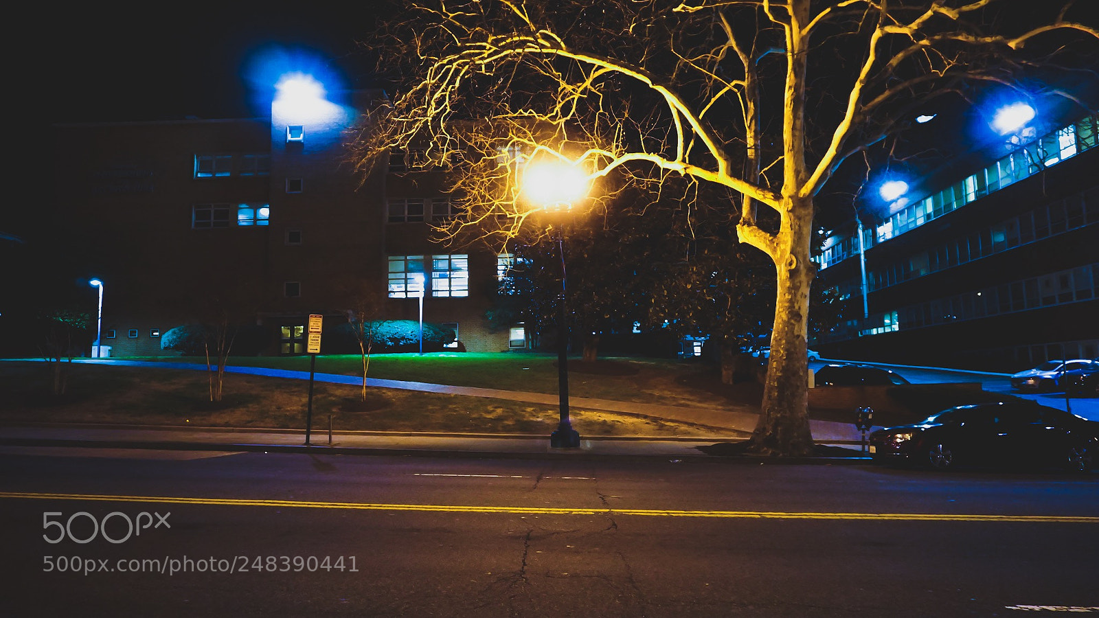 Sony a6000 sample photo. Lit. photography