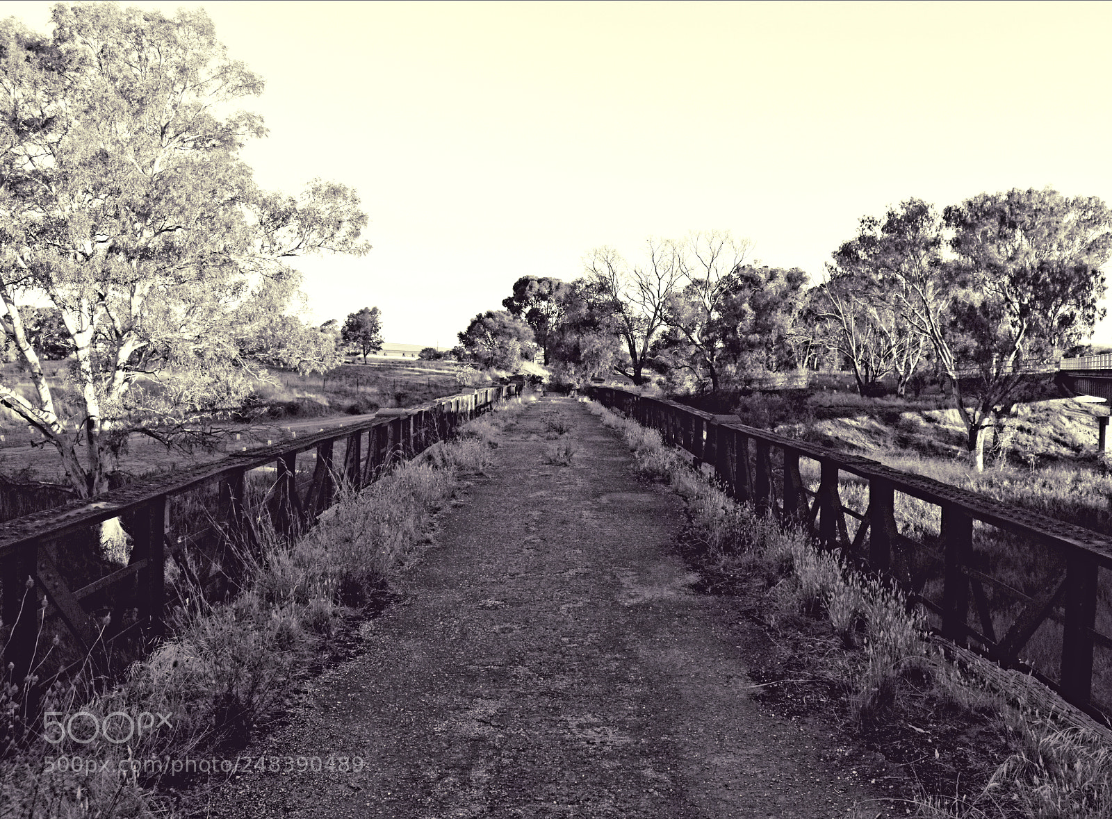 Nikon D5600 sample photo. Hamley bridge photography
