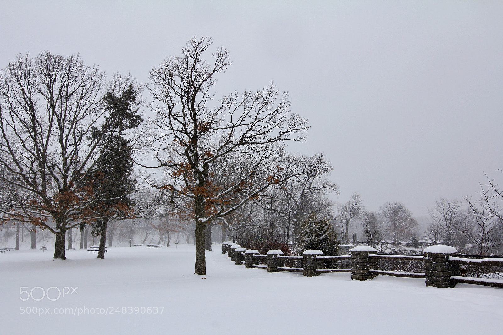 Canon EOS 60D sample photo. Winter fashion photography