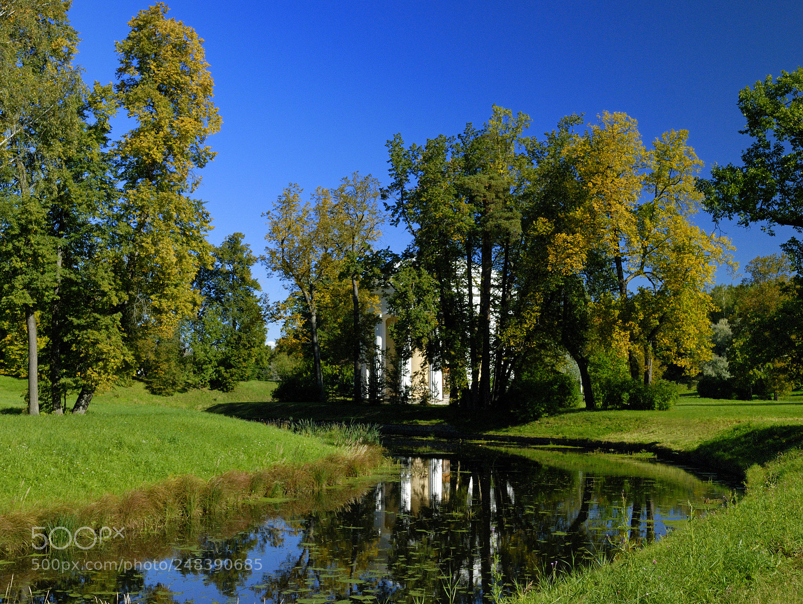 Nikon D60 sample photo. * photography