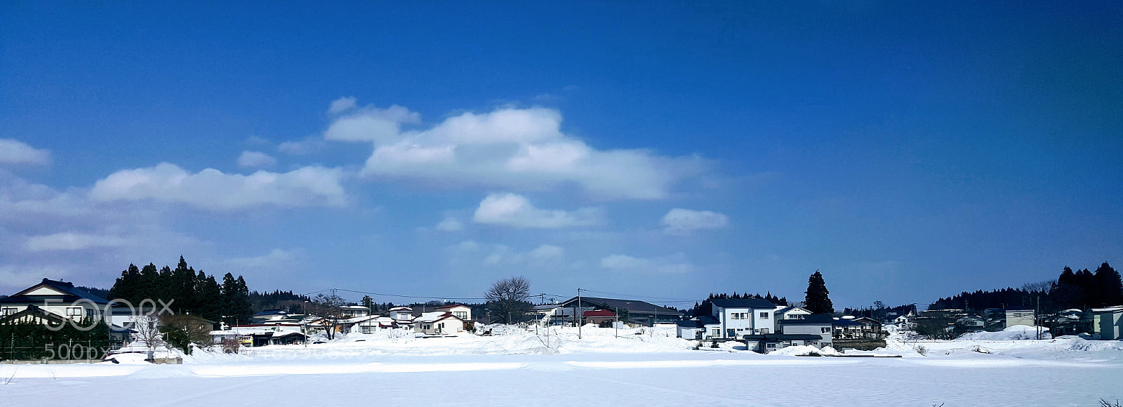 Samsung GALAXY S6 edge sample photo. Back to akita photography
