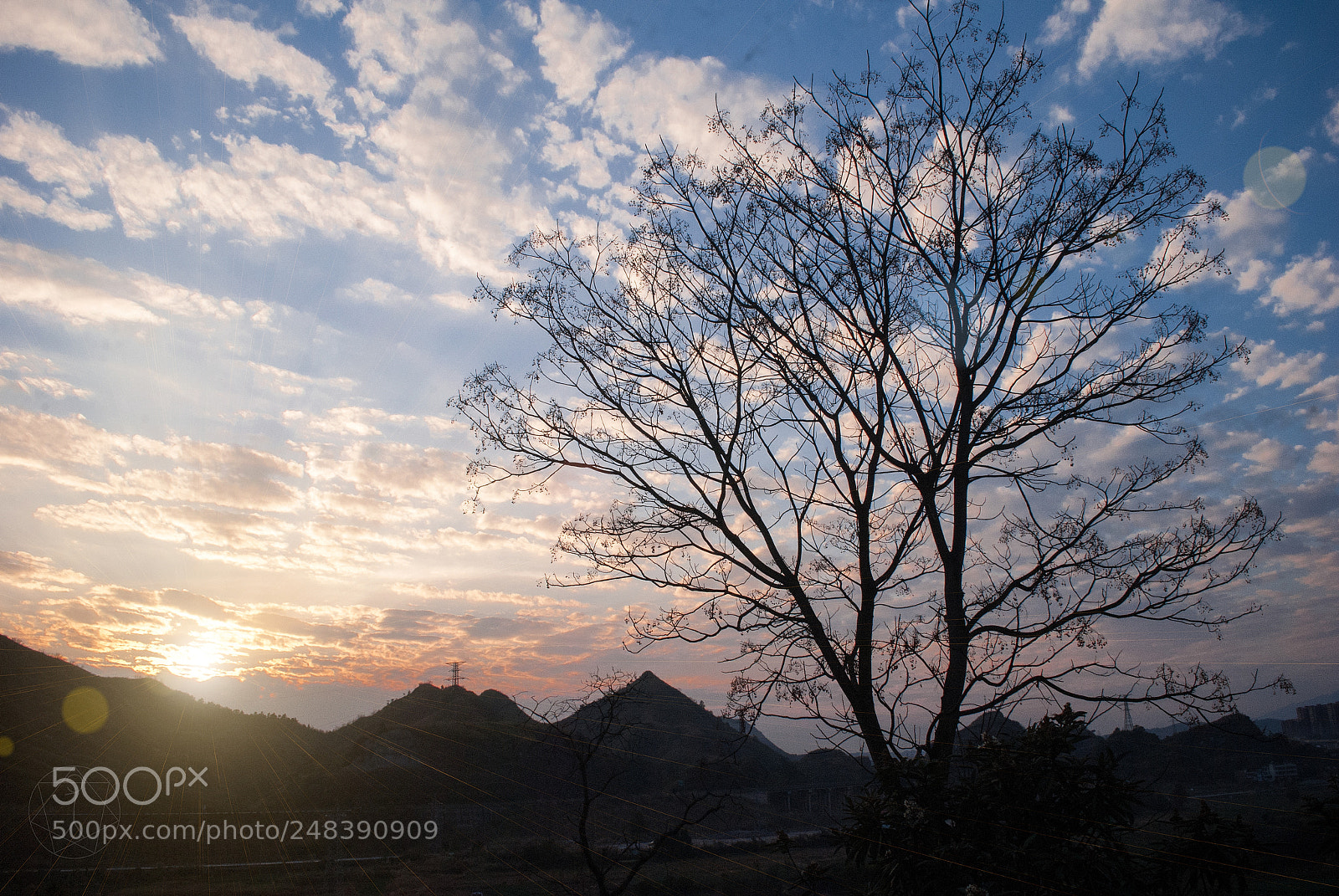Nikon D3000 sample photo. Psb () photography