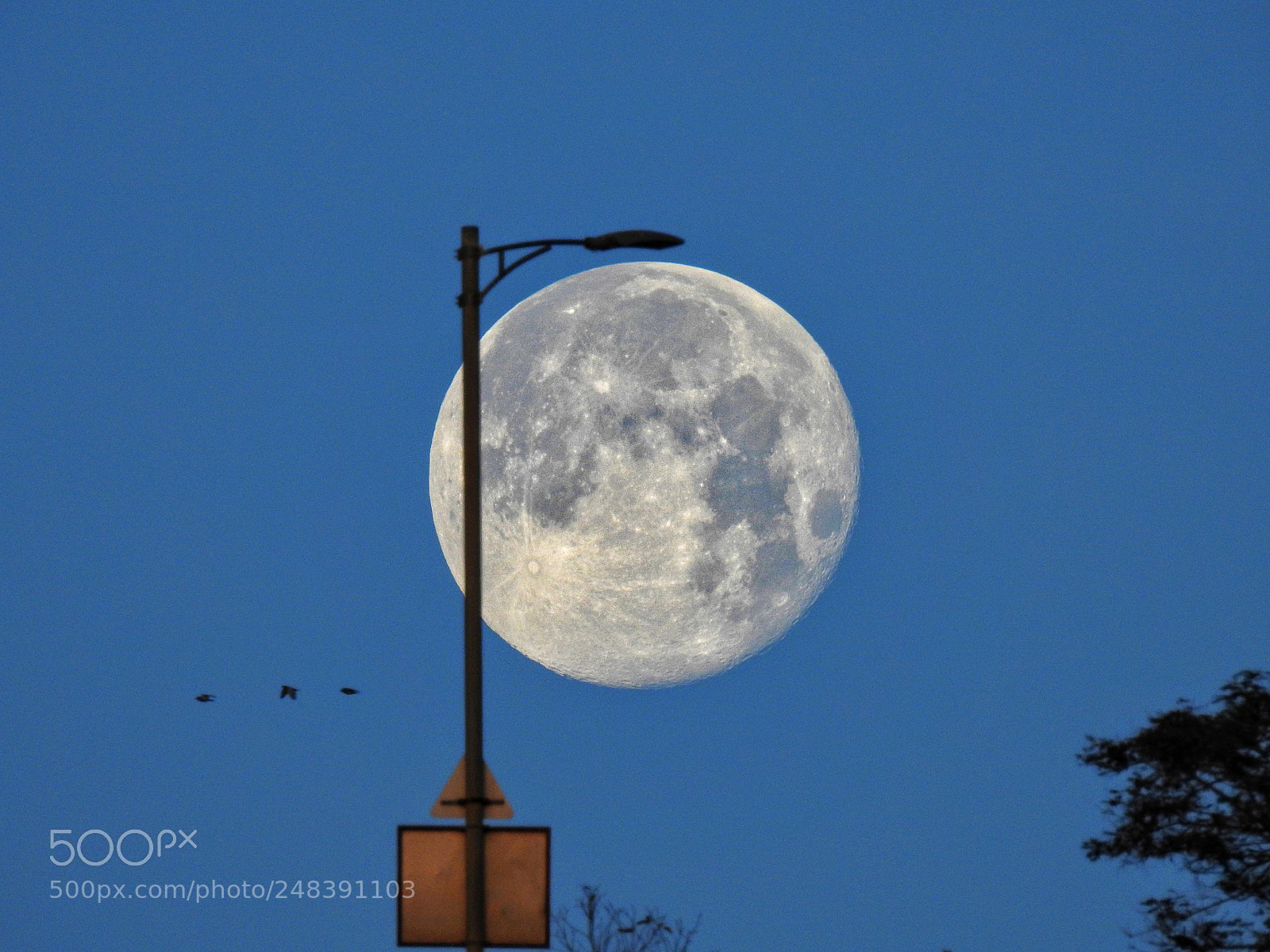 Nikon Coolpix P900 sample photo. Moon holder stand photography