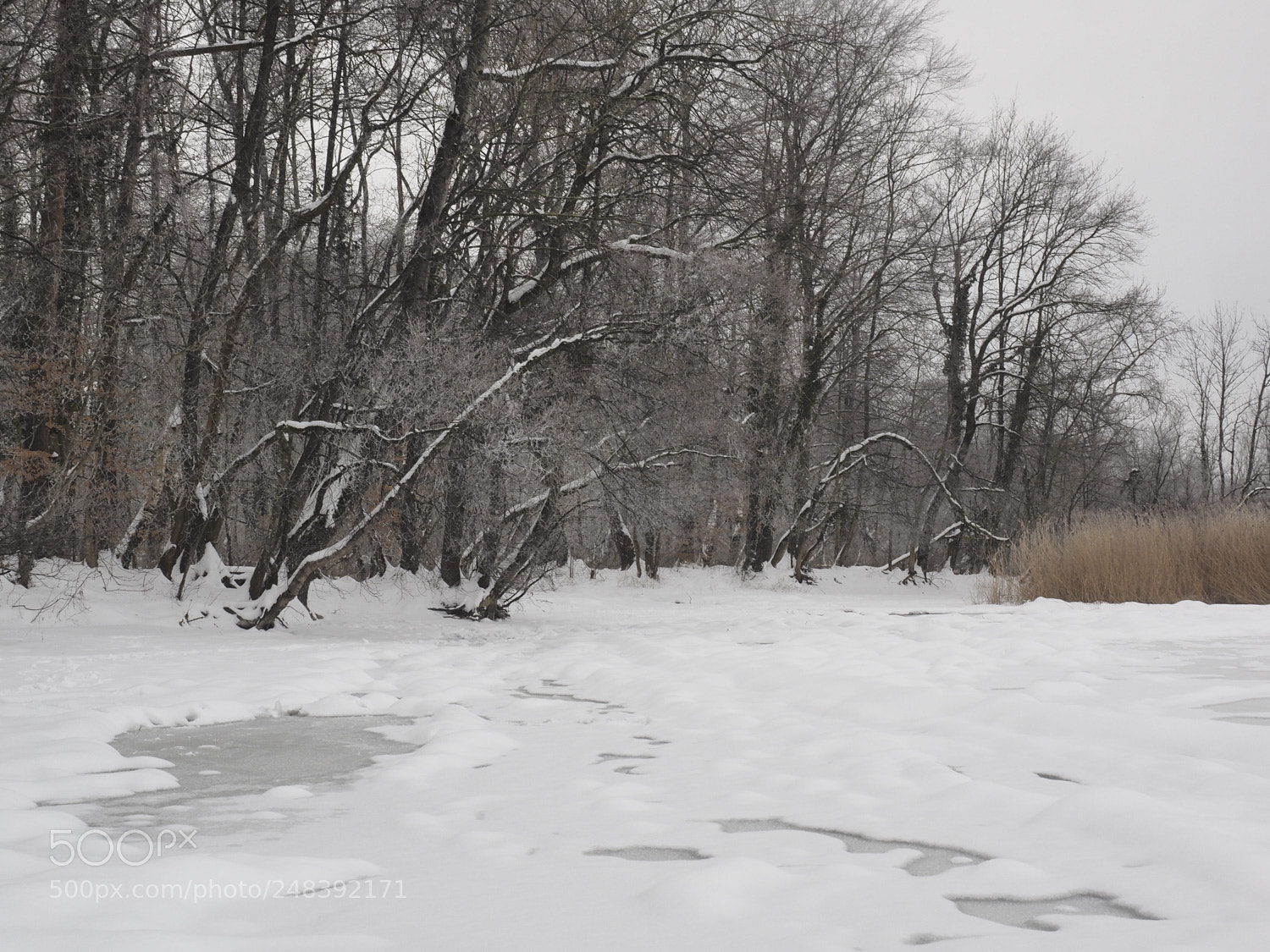 Olympus OM-D E-M1 sample photo. Winterlandschaft photography