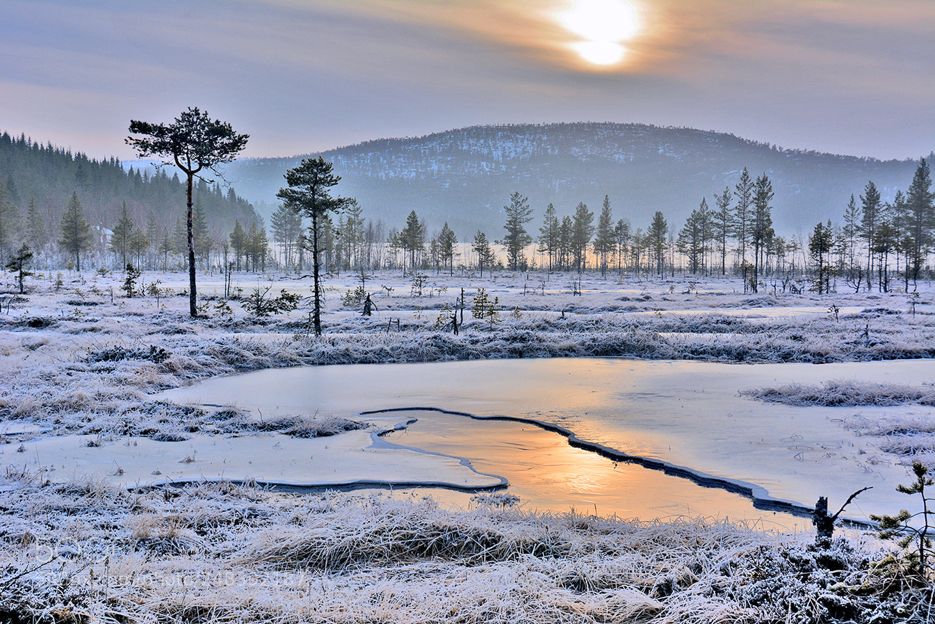 Nikon D5200 sample photo. Winter on norwegian marshland photography