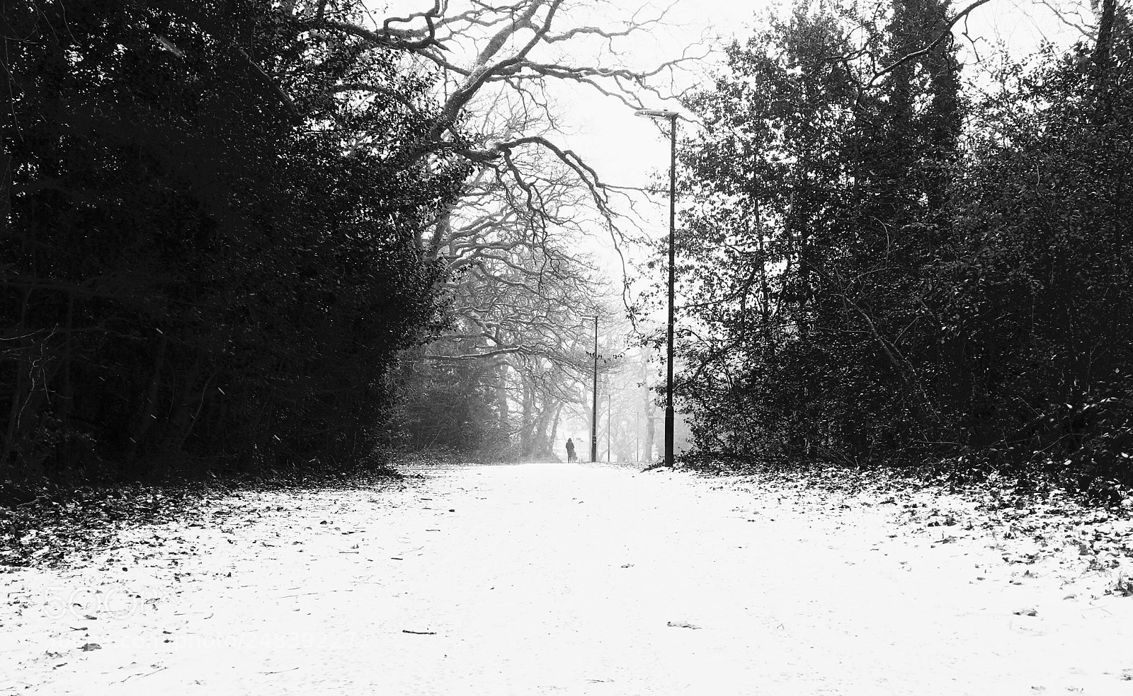 Apple iPhone 6s sample photo. Winter path photography