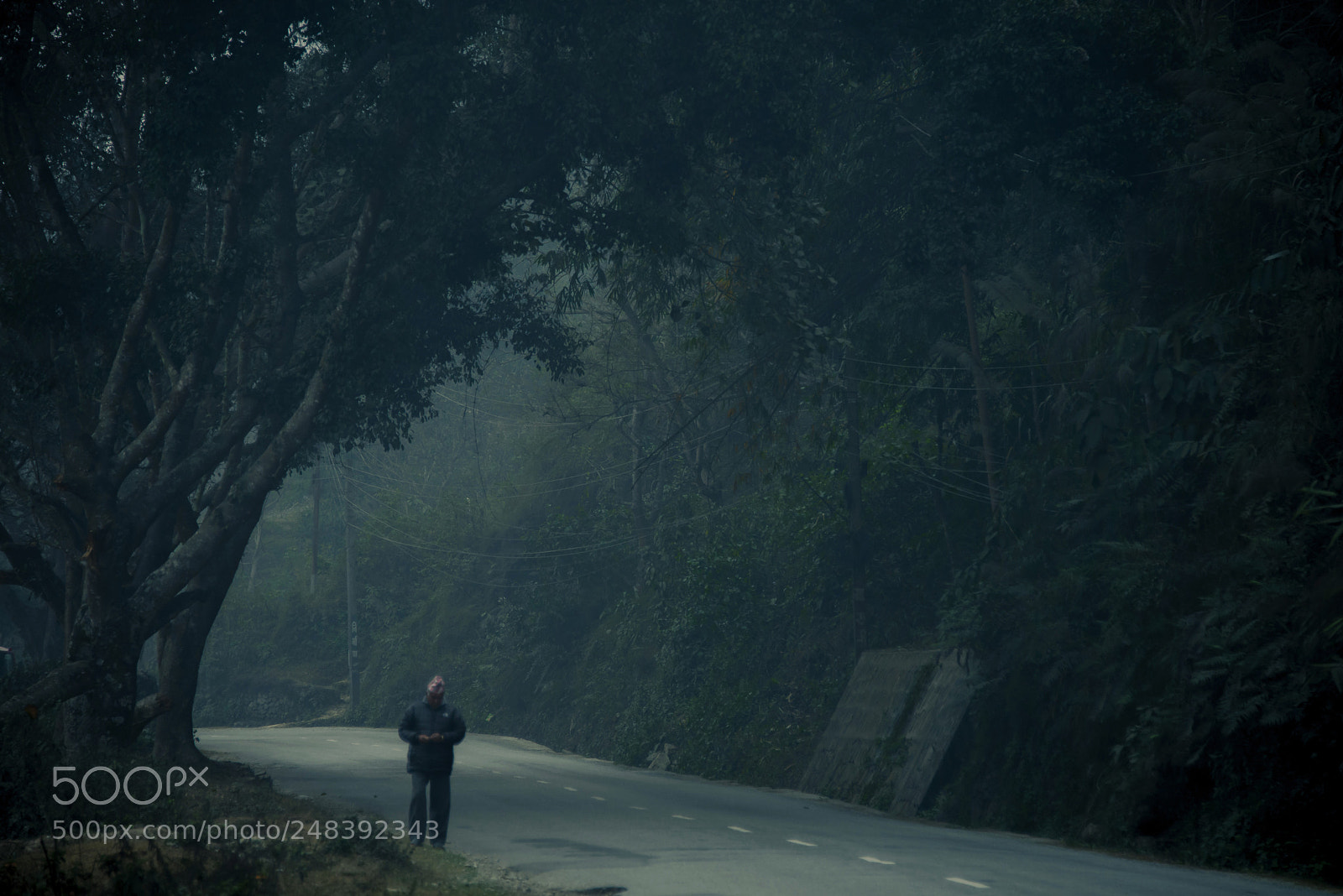 Nikon D610 sample photo. Walking photography