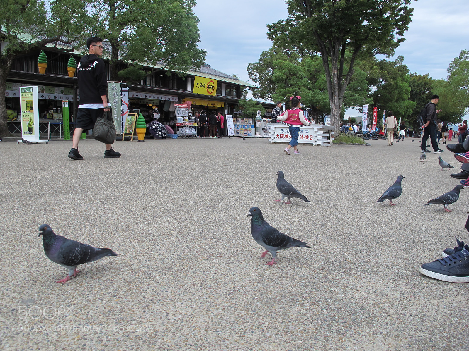 Canon PowerShot G12 sample photo. Img photography