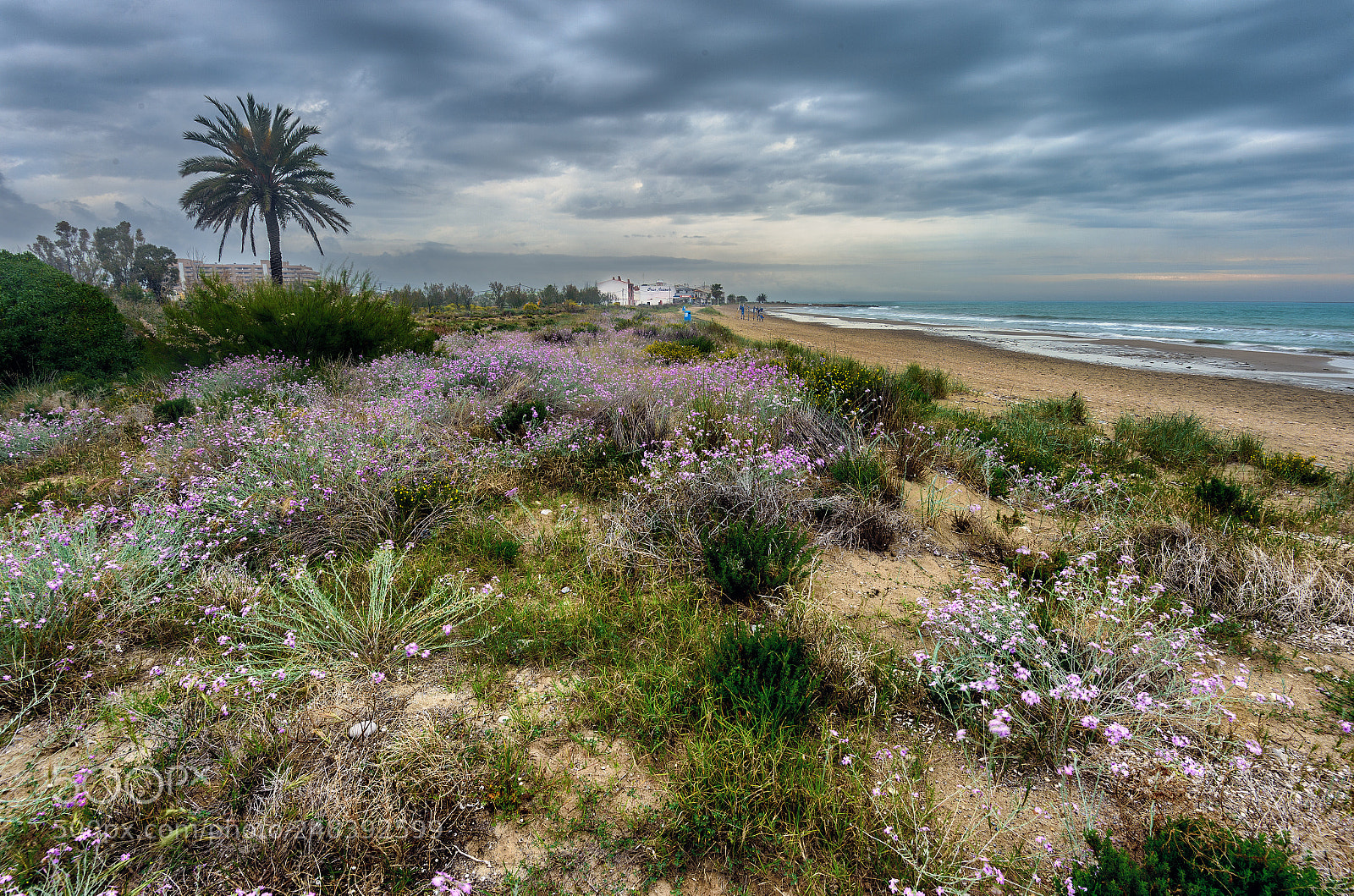 Nikon Df sample photo. Natural beach photography