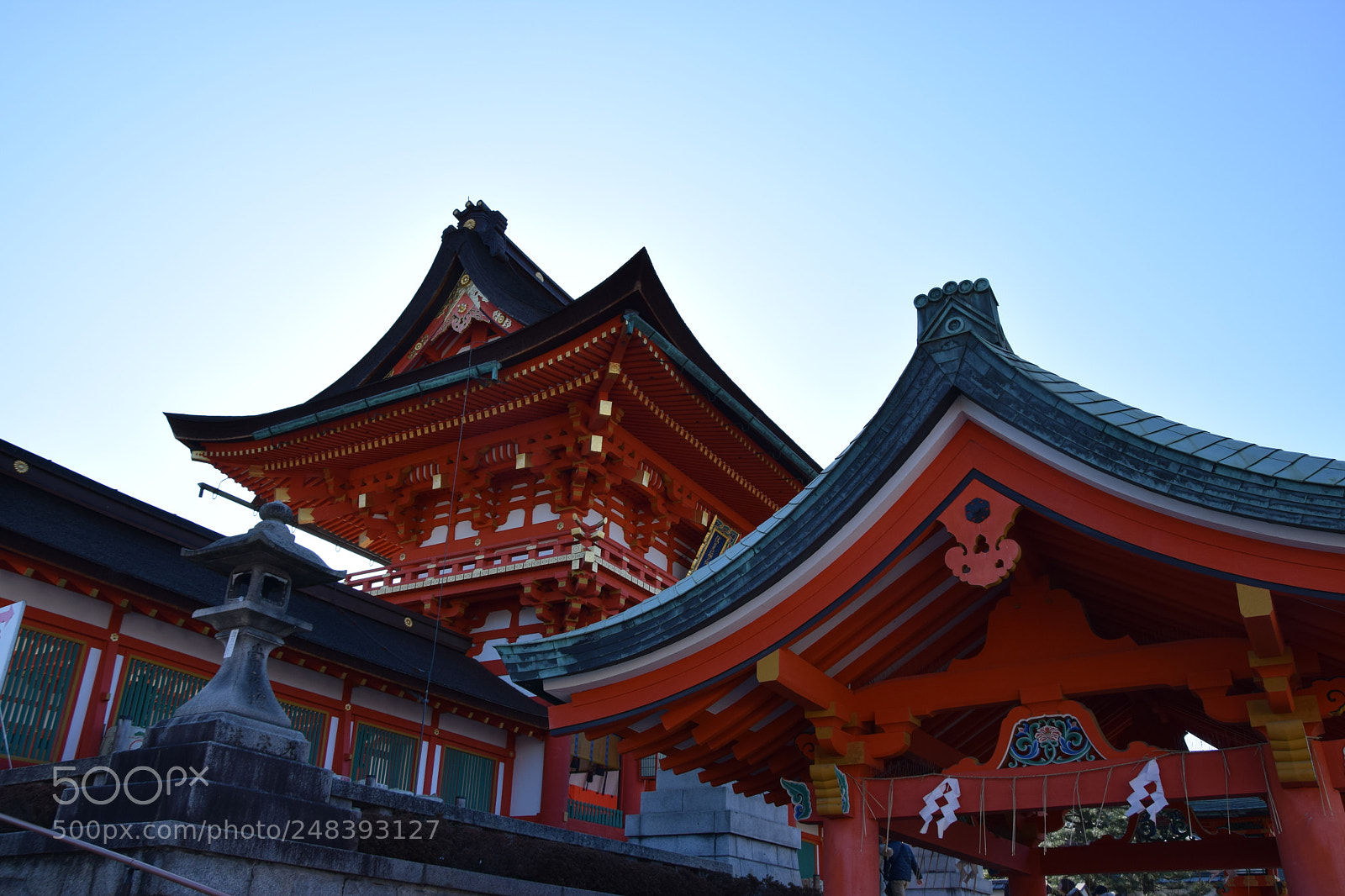 Nikon D5300 sample photo. Fushimi inari photography