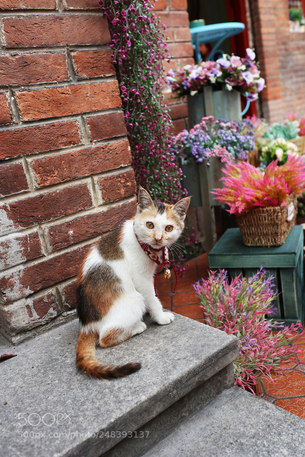 Canon EOS M6 sample photo. Img photography