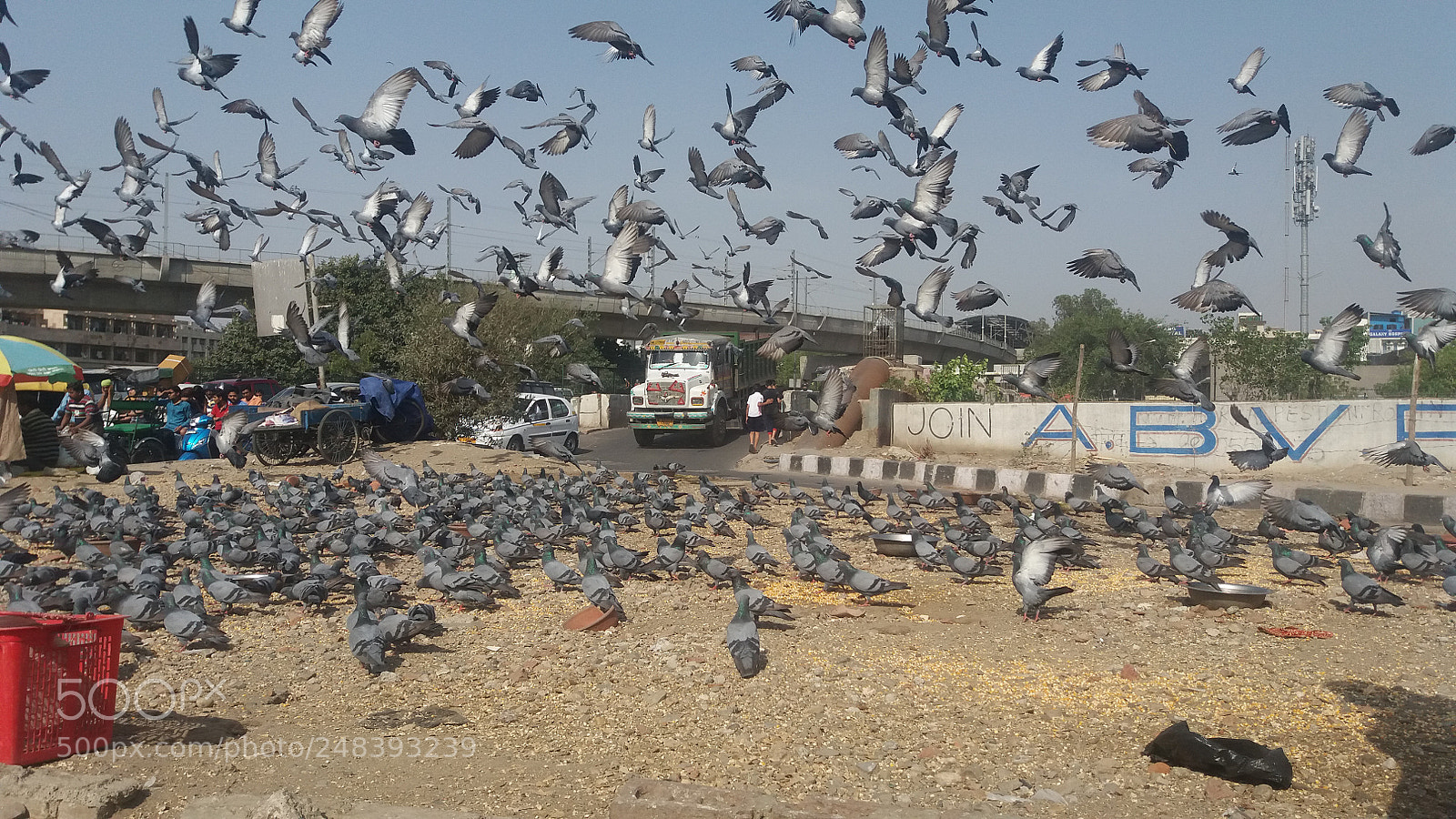 Samsung Galaxy J5 sample photo. Untitled photography