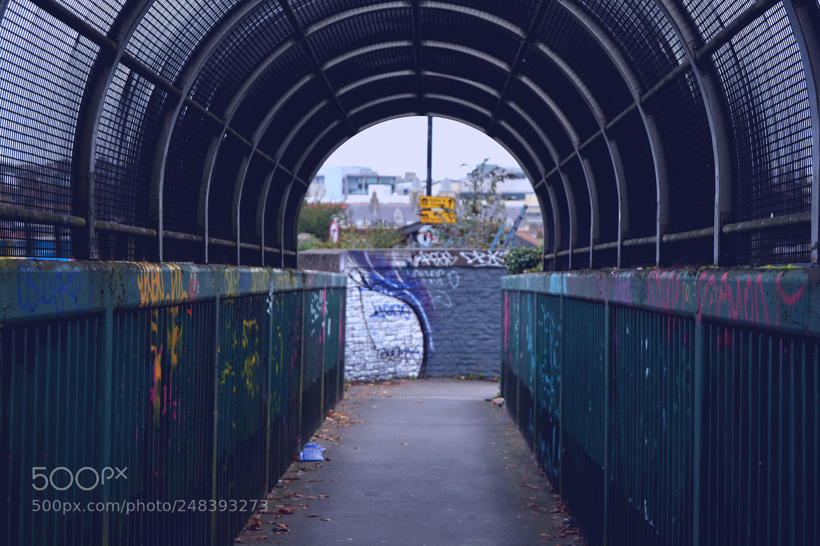 Nikon D5200 sample photo. Edit photography