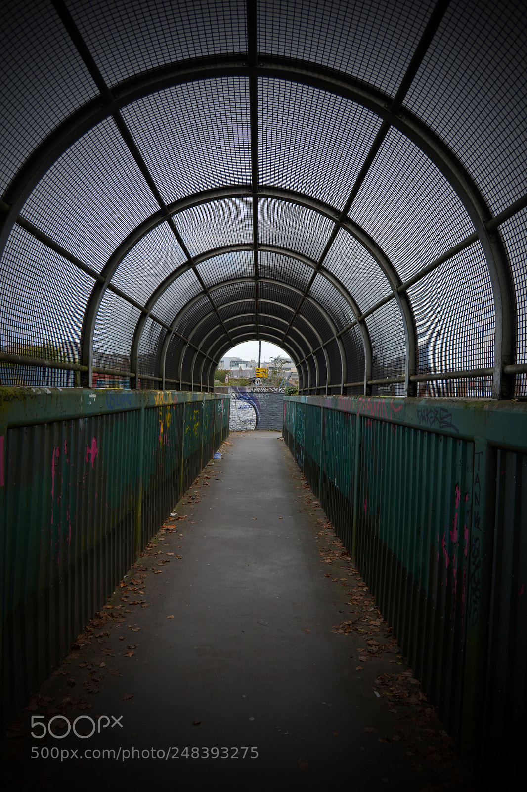 Nikon D5200 sample photo. Edit photography