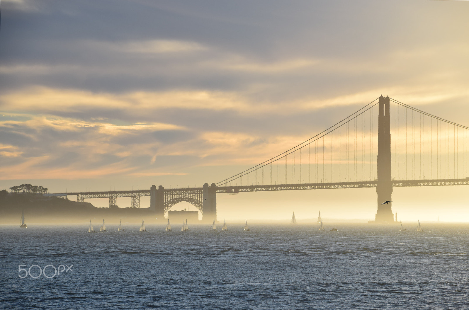 Nikon D5300 sample photo. Flotilla, golden gate bridge photography