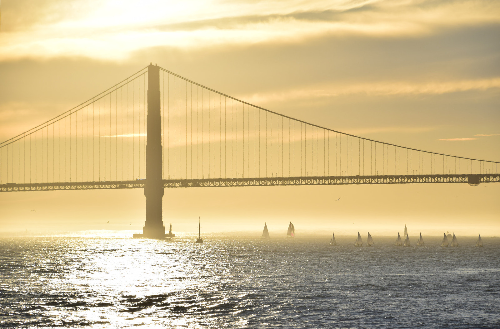 Nikon D5300 sample photo. Flotilla, golden gate bridge photography