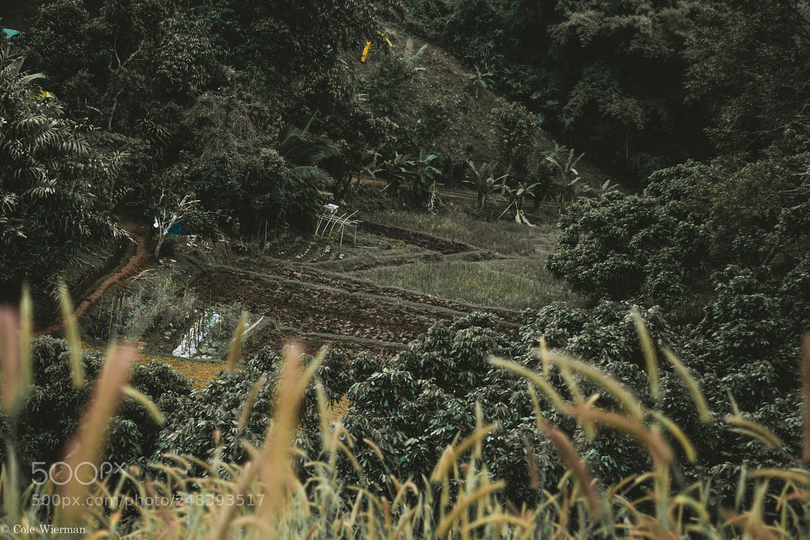 Sony a5100 sample photo. O b s e photography