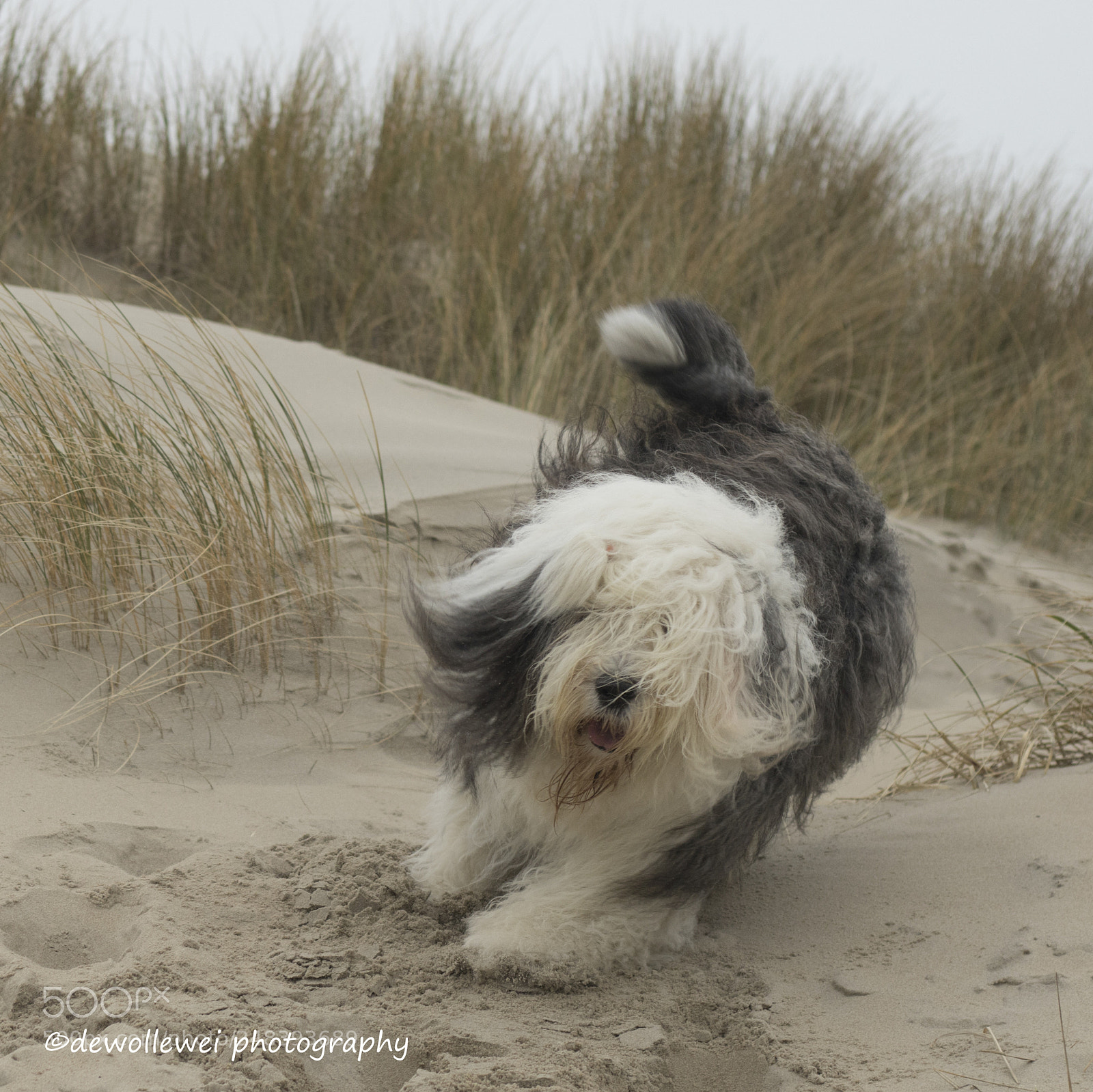 Canon EOS 7D Mark II sample photo. Happy times on the photography