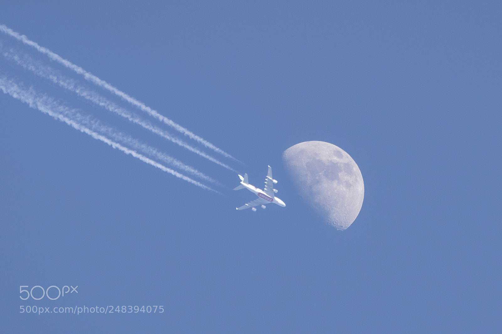 Nikon D5300 sample photo. Flying to the moon photography