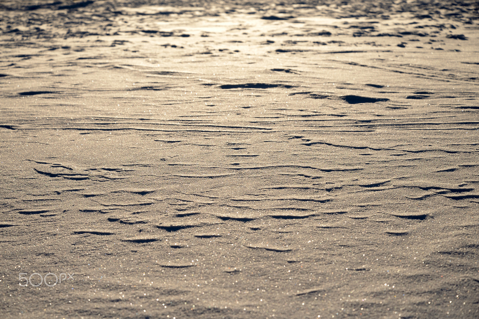 Nikon D610 sample photo. Fresh snow background. photography