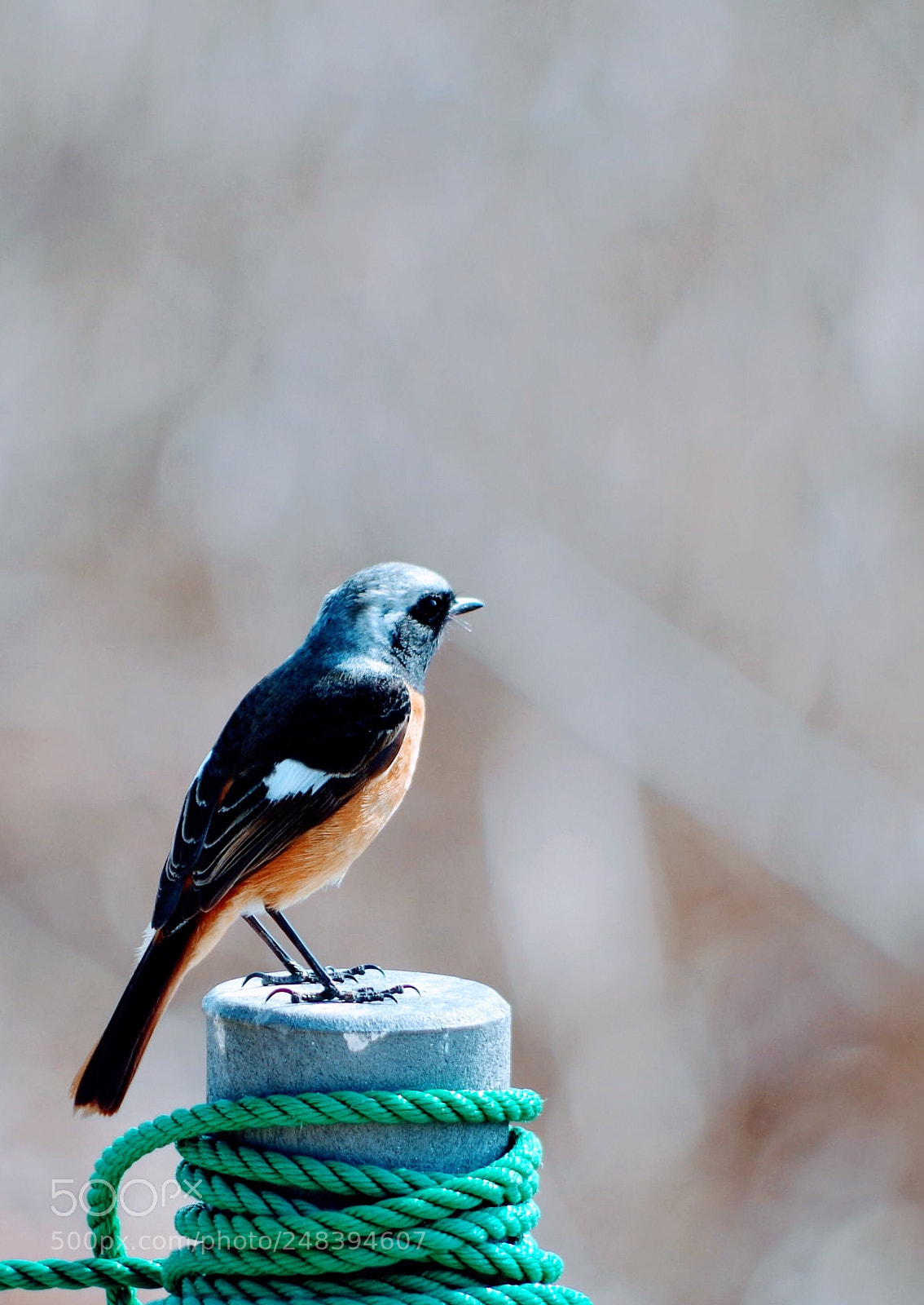 Pentax K-30 sample photo. What's your name? photography