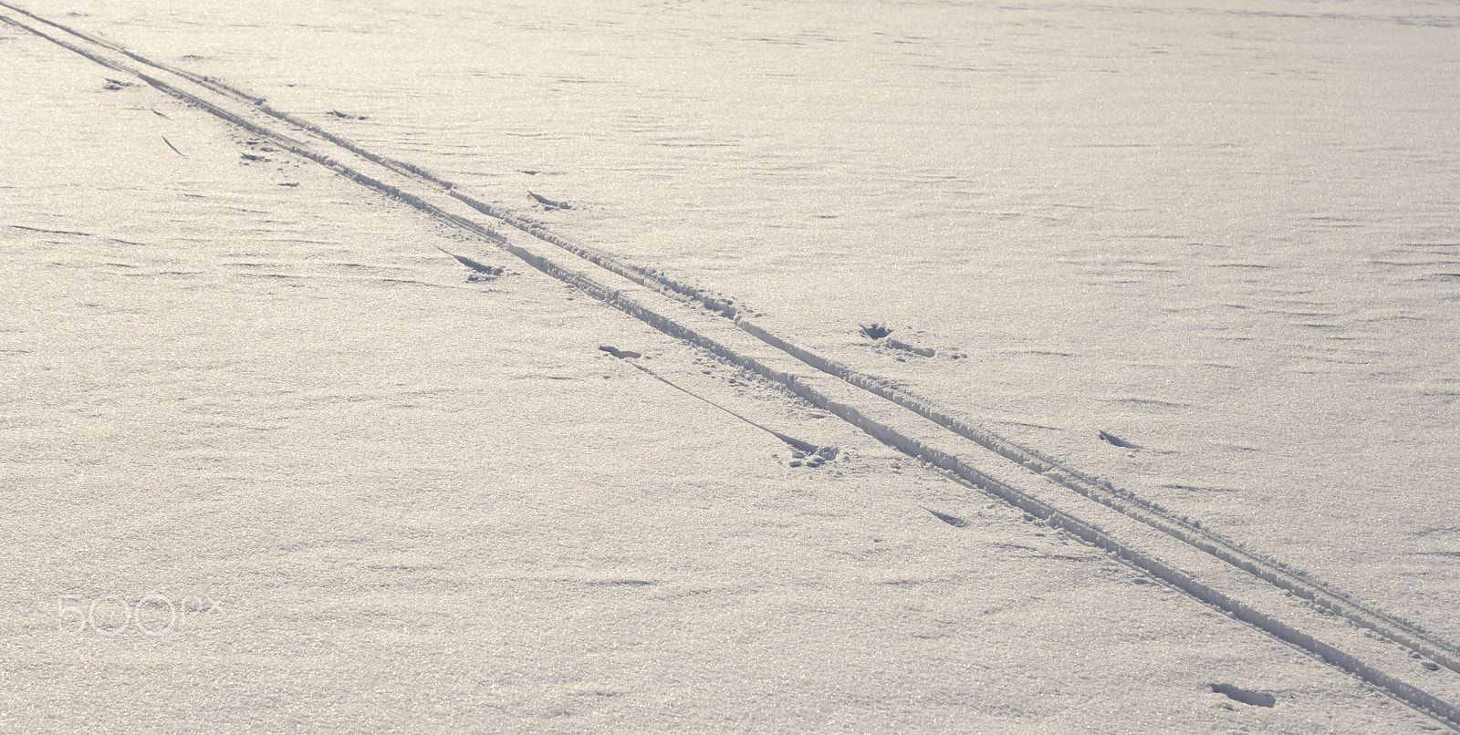 Nikon D610 sample photo. Cross country ski track. photography