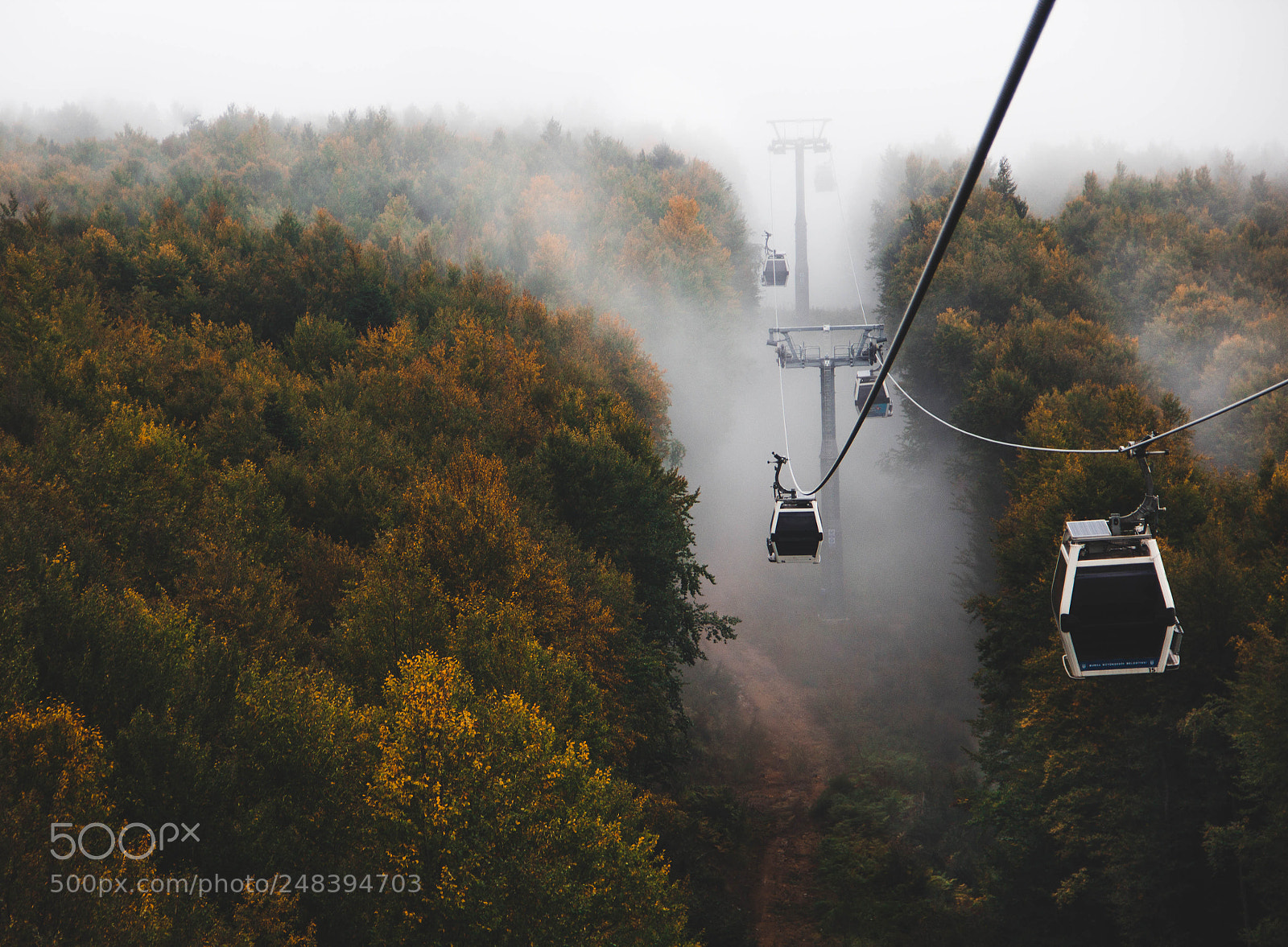 Canon EOS 600D (Rebel EOS T3i / EOS Kiss X5) sample photo. Foggy soft air photography