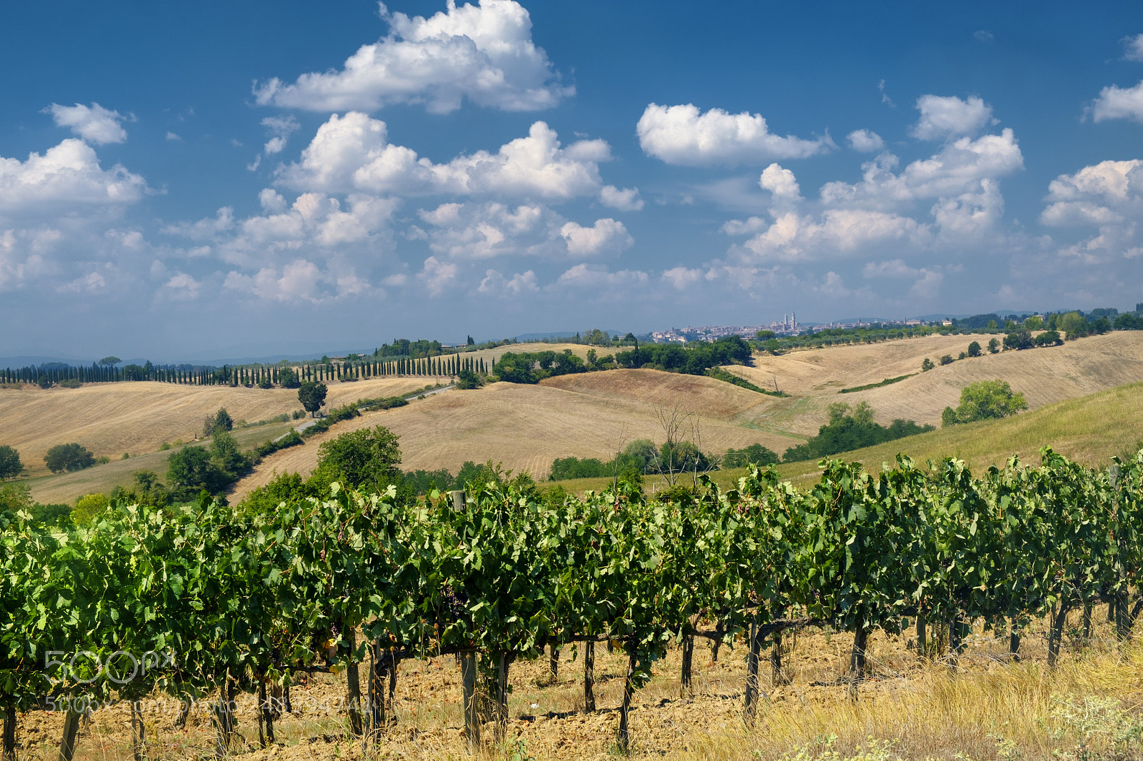 Fujifilm X-T2 sample photo. Summer landscape in the photography