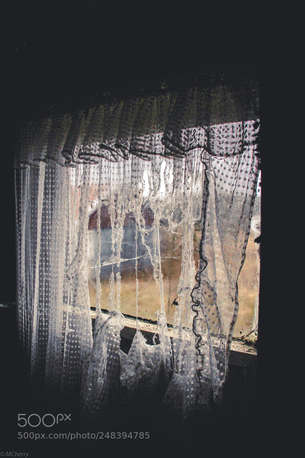 Canon EOS 60D sample photo. Untitled photography