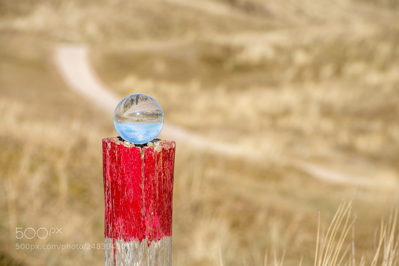 Nikon D600 sample photo. Untitled photography