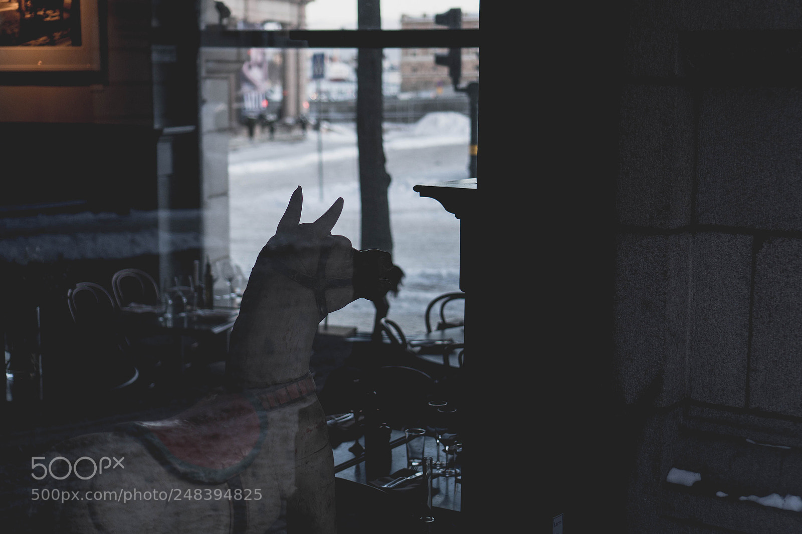 Sony a6300 sample photo. Horsie photography